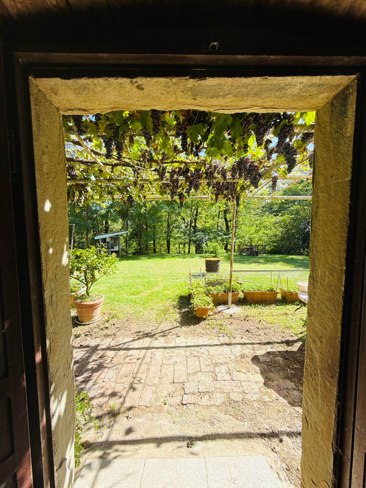 Farmhouse for sale