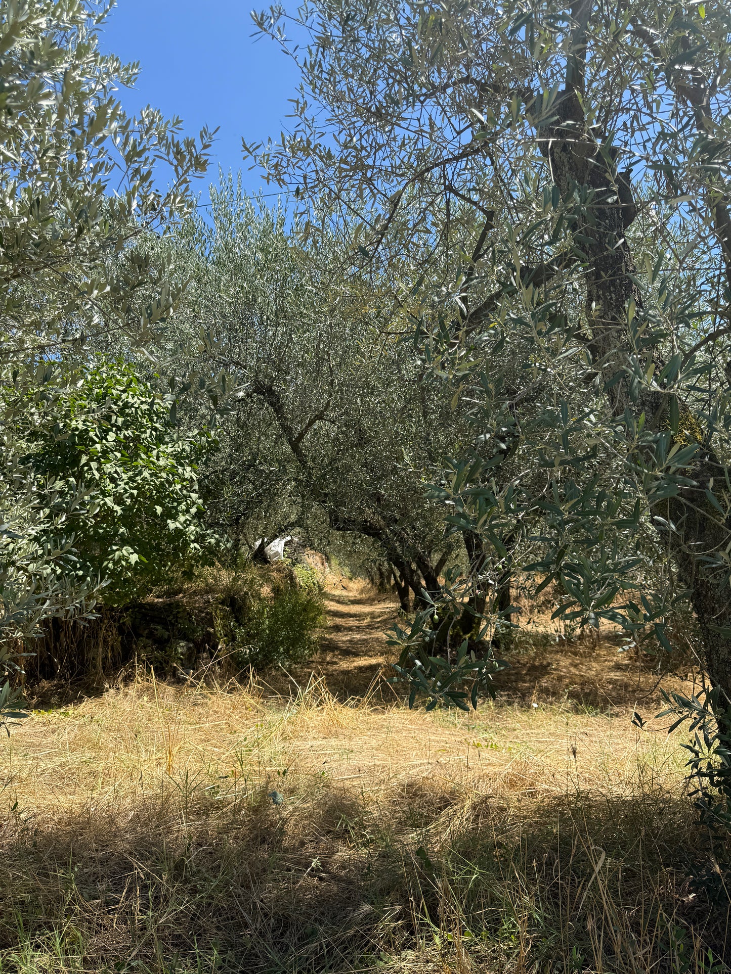 Land with annex