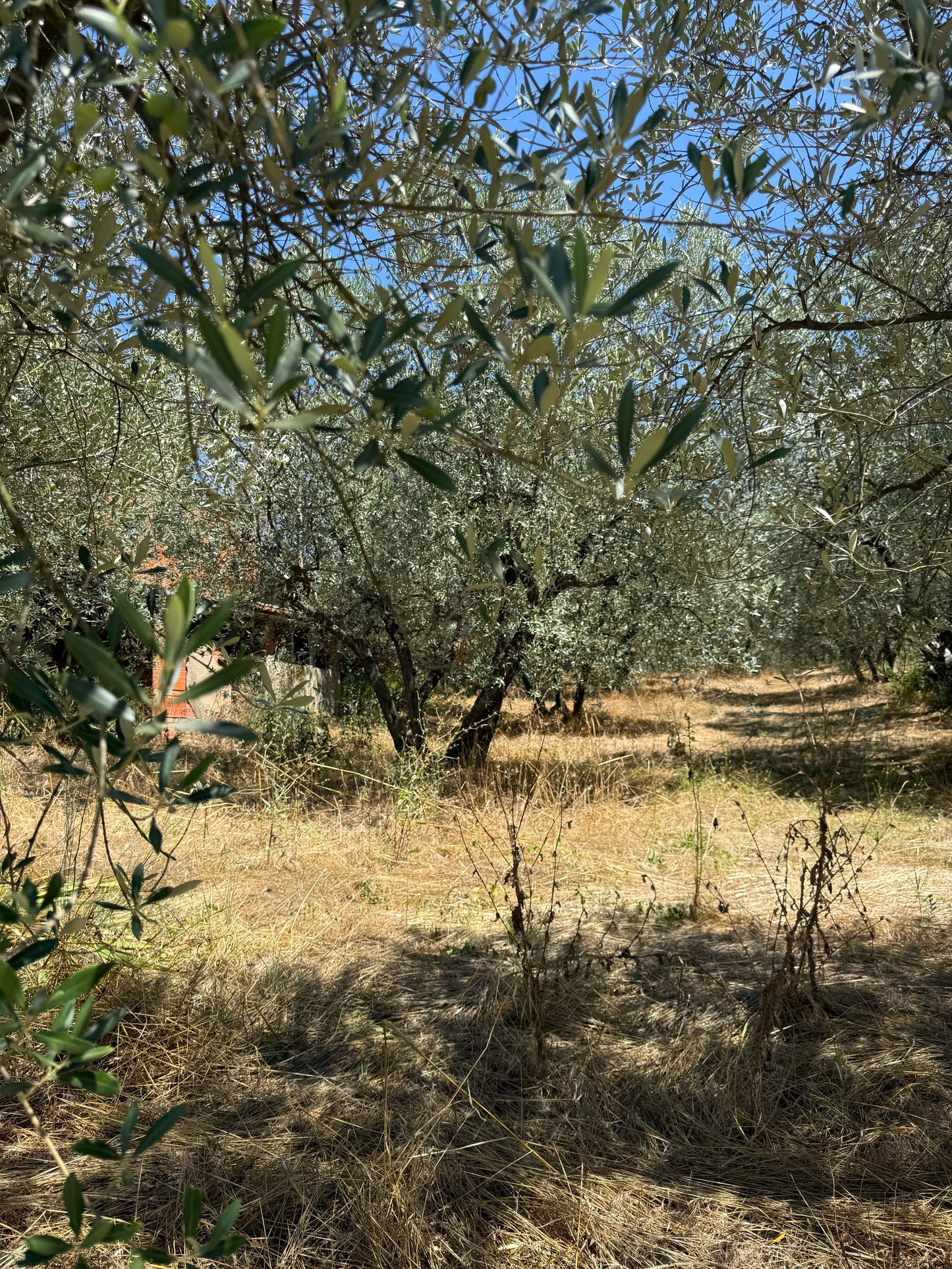 Land with annex