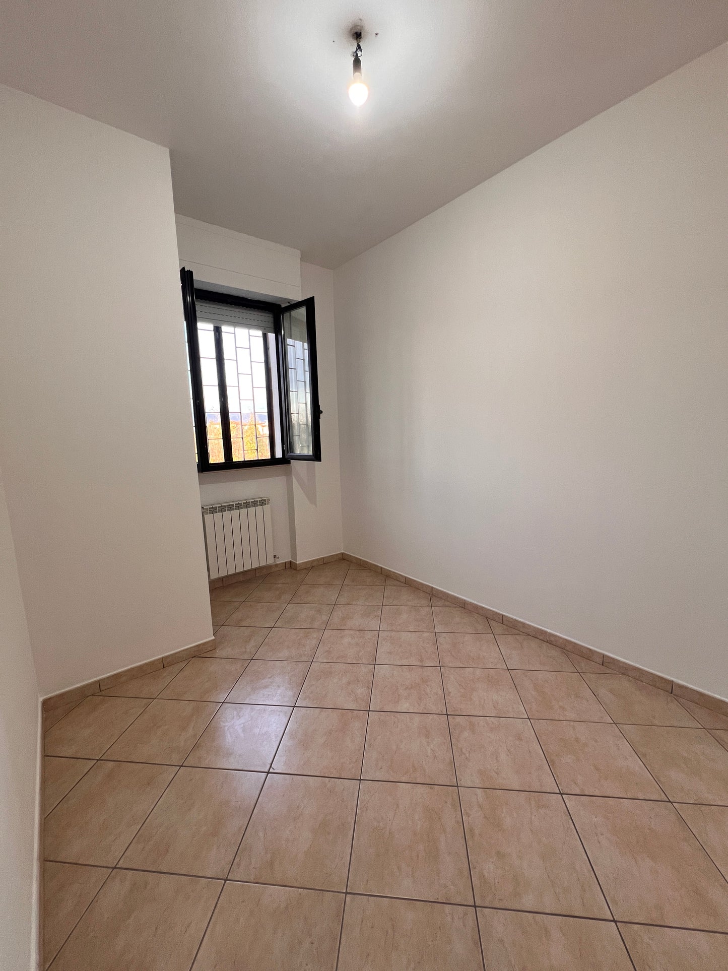 Big apartment one floor and garage