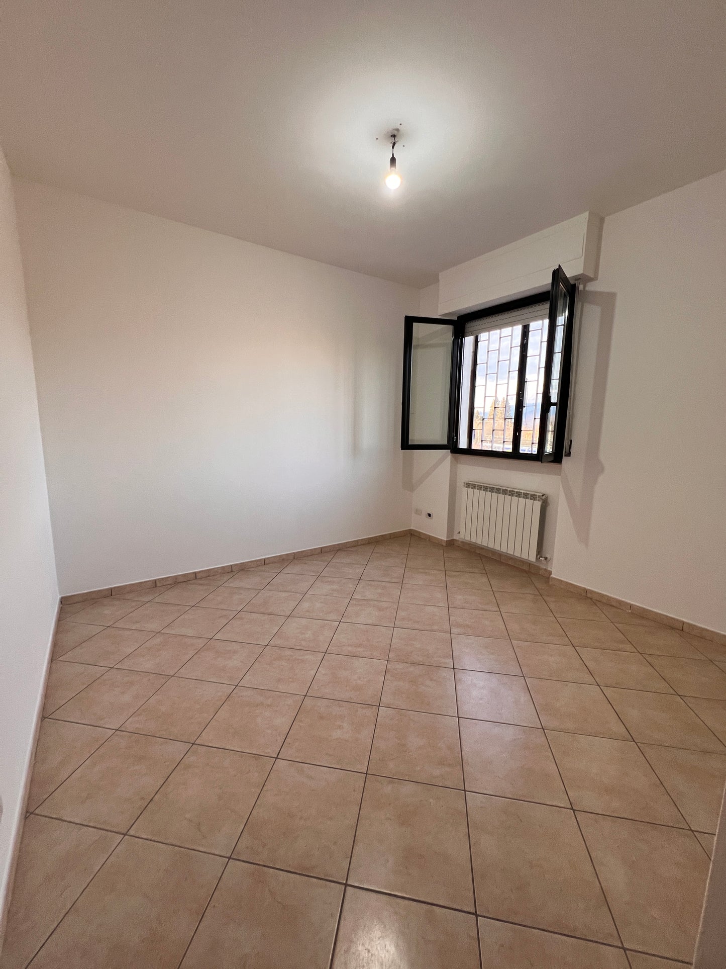 Big apartment one floor and garage