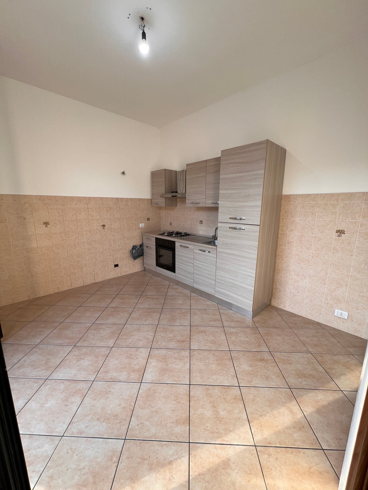 Big apartment one floor and garage