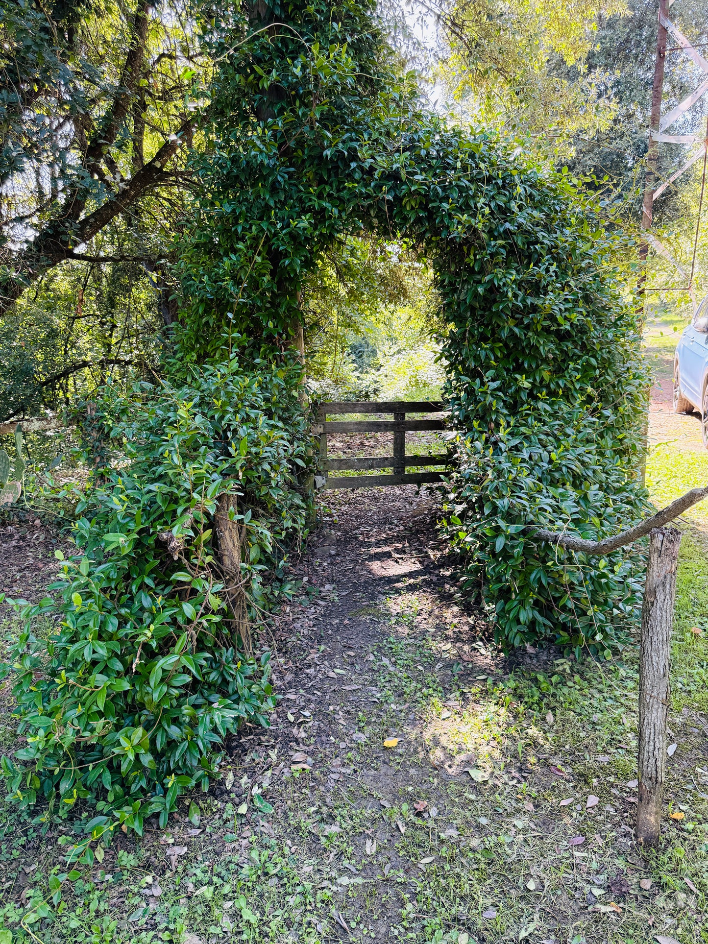 Farmhouse for sale