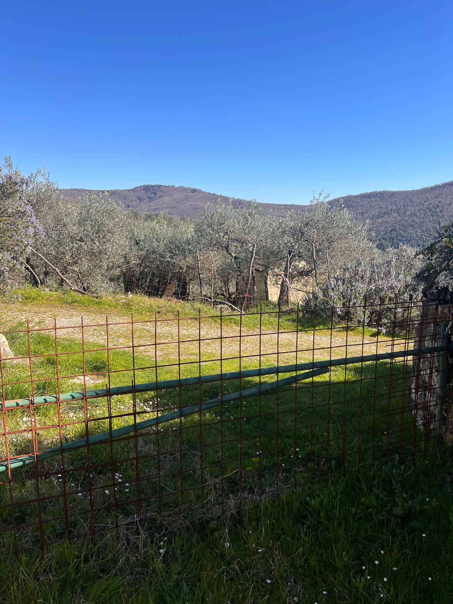 Land with annex in stone