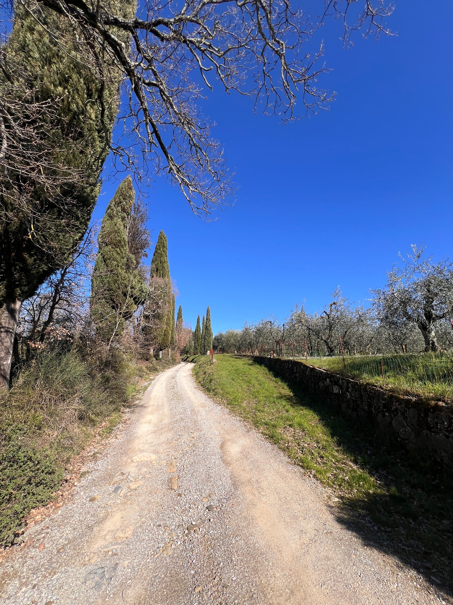 Land with annex in stone