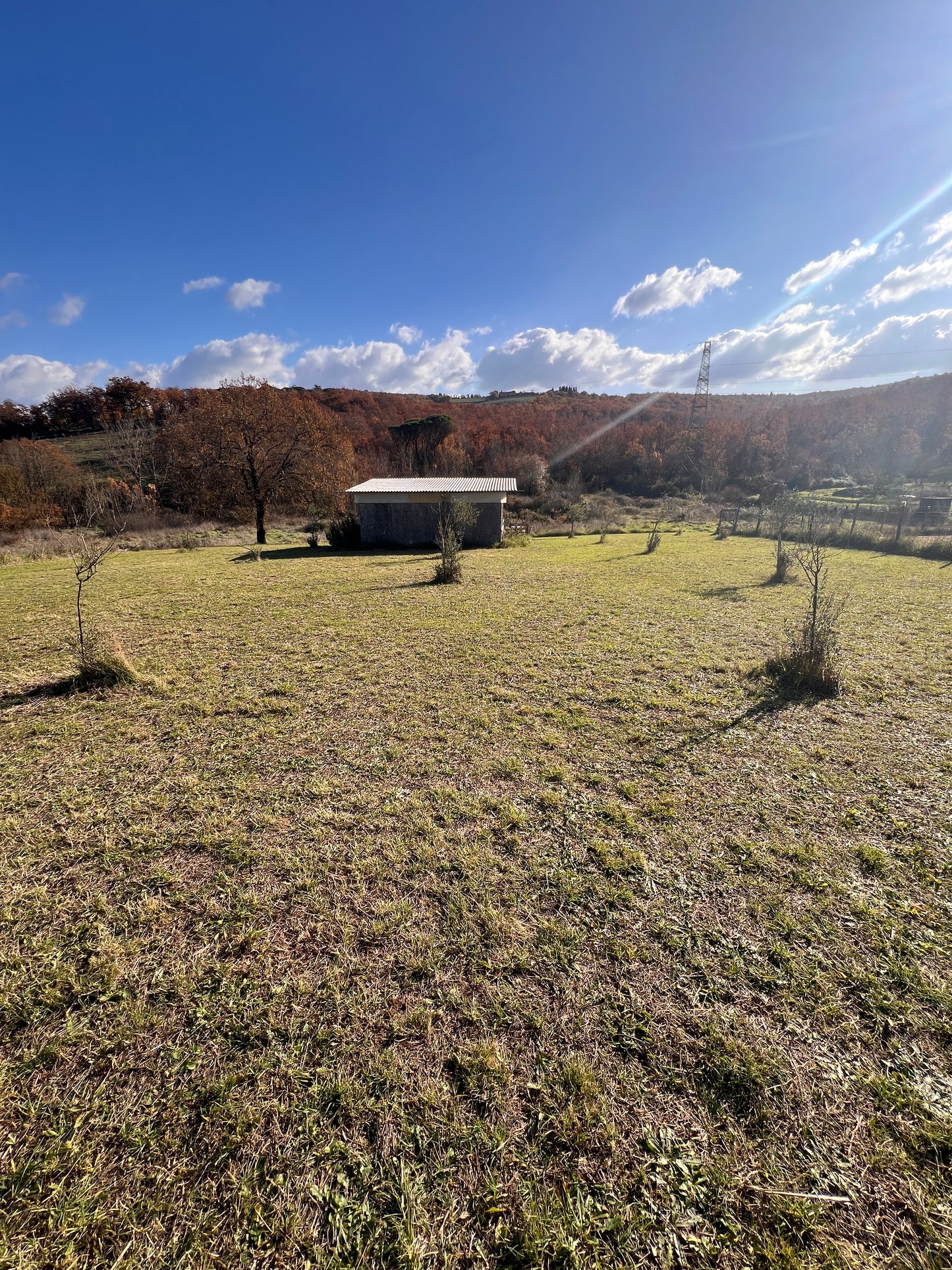 Agricultural land