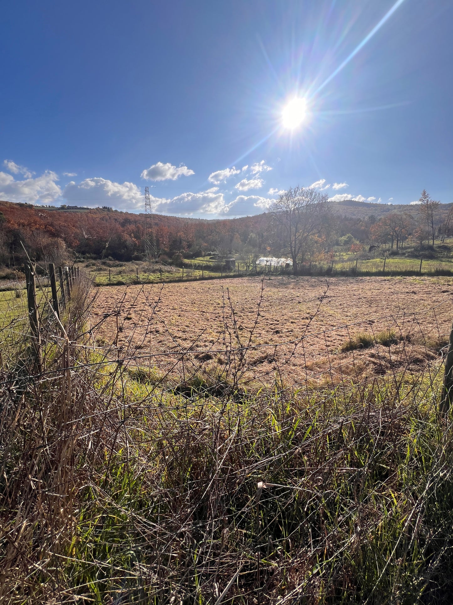 Agricultural land