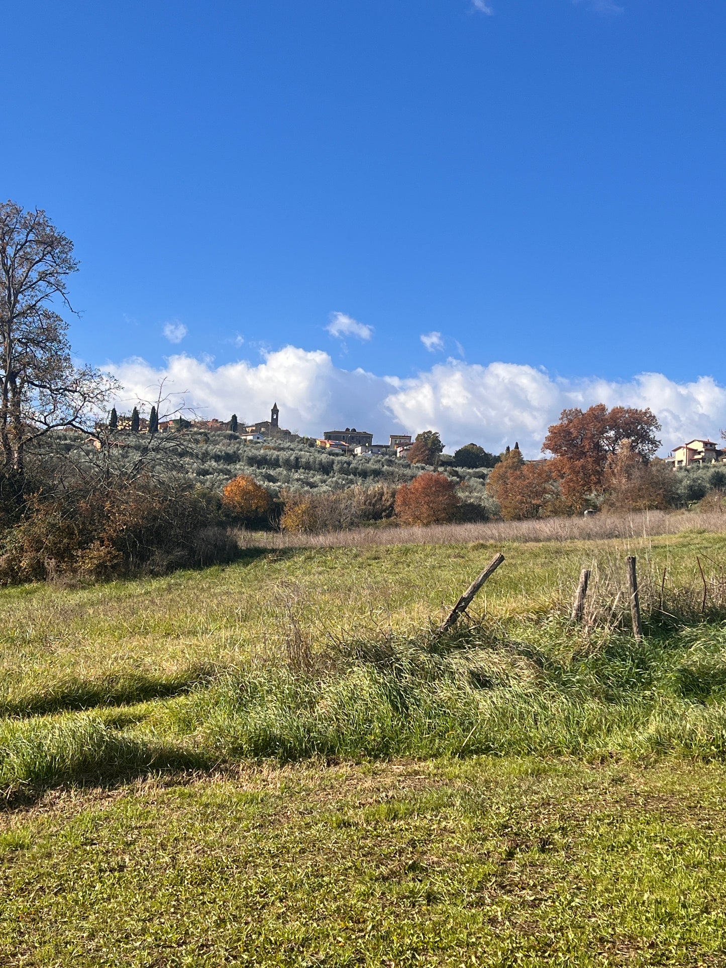 Agricultural land