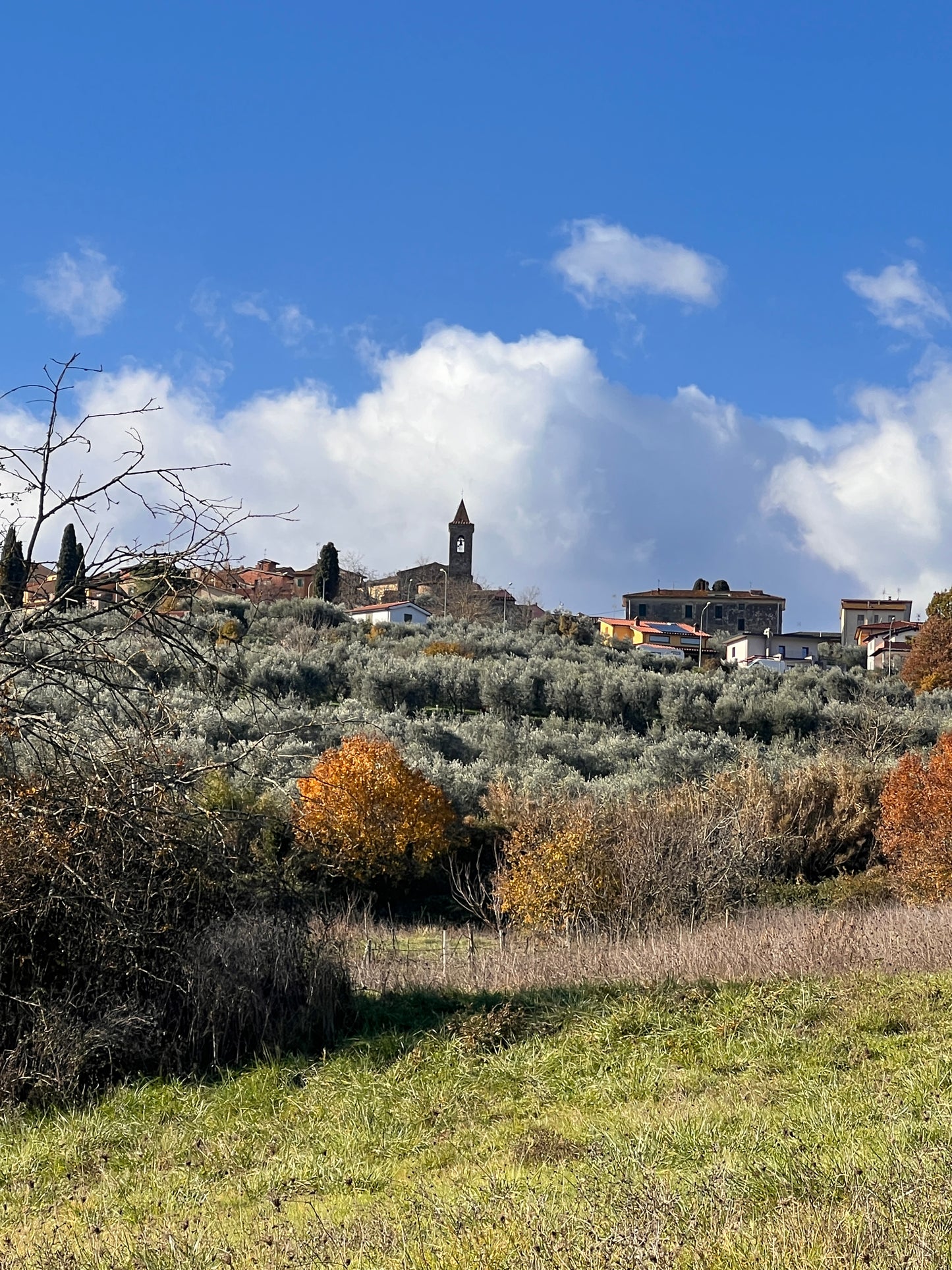 Agricultural land