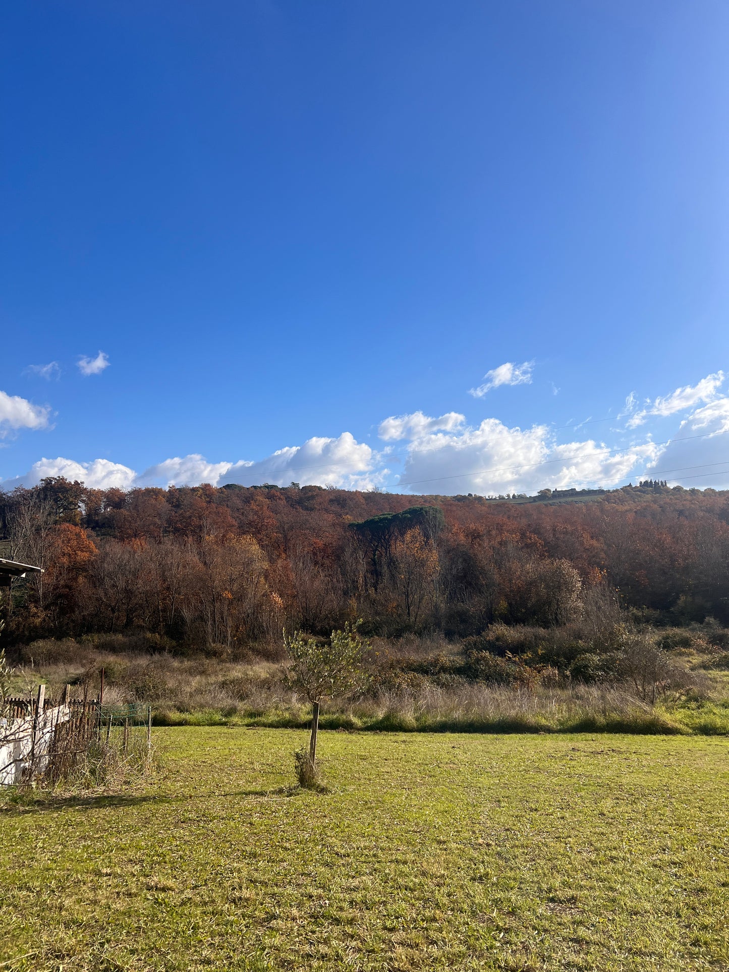 Agricultural land