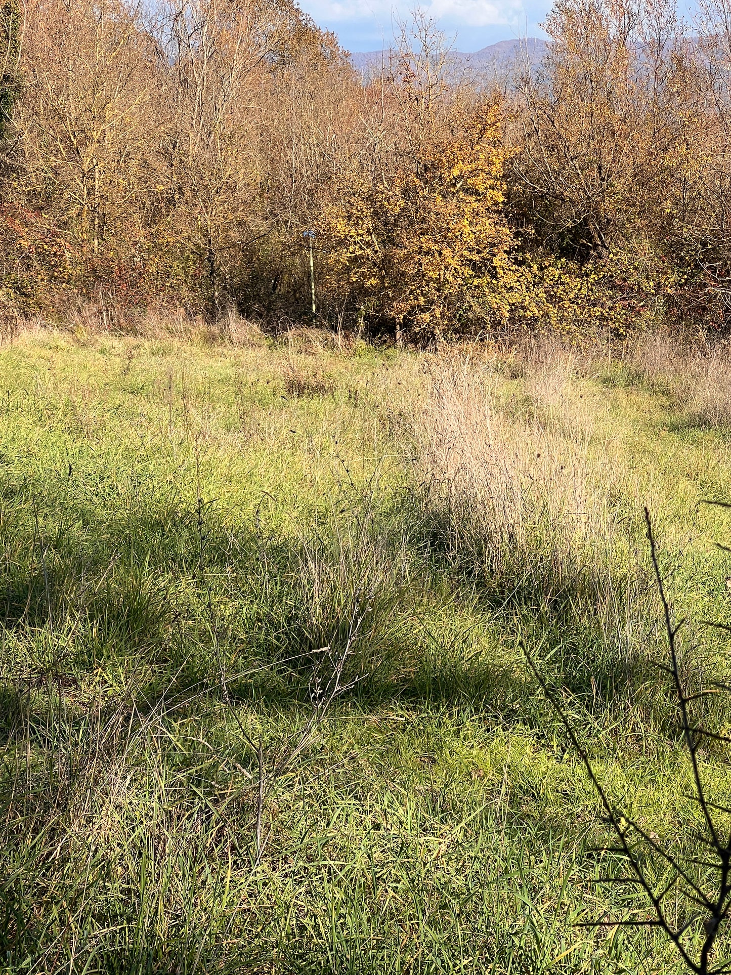 Agricultural land
