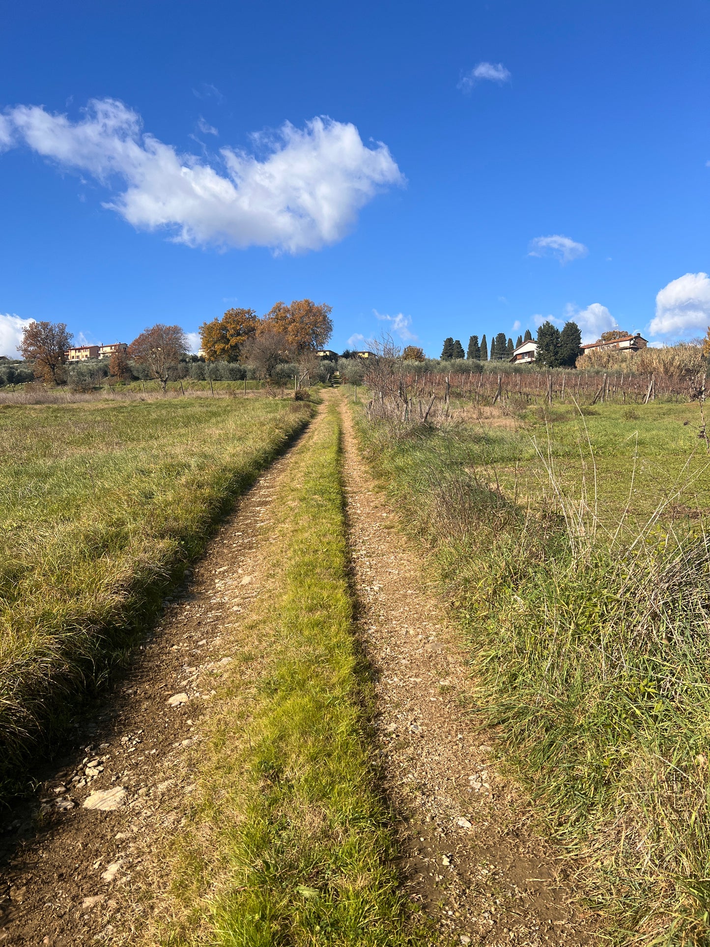 Agricultural land