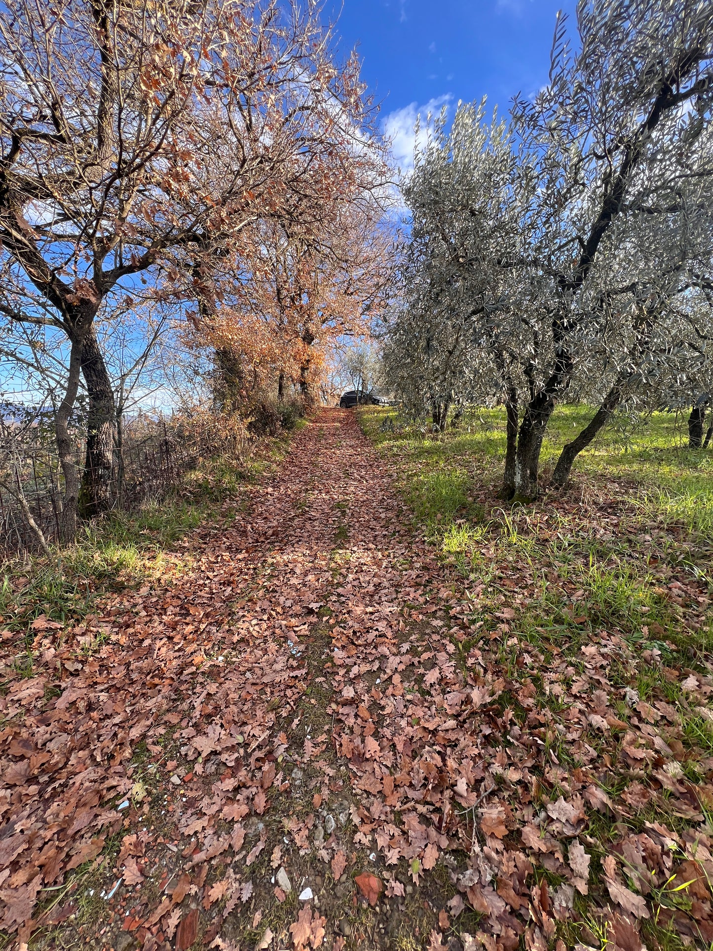 Agricultural land with house