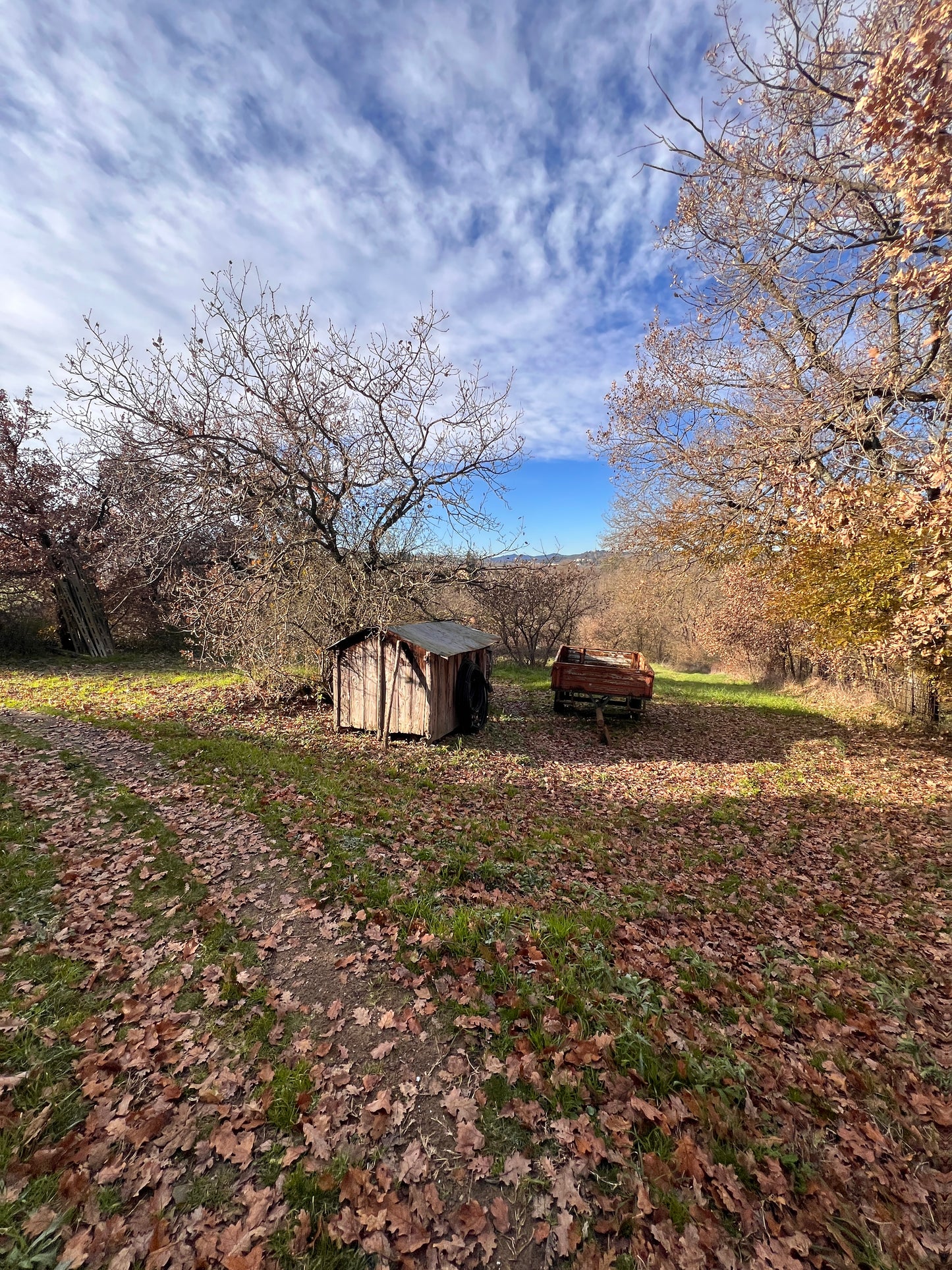 Agricultural land with house