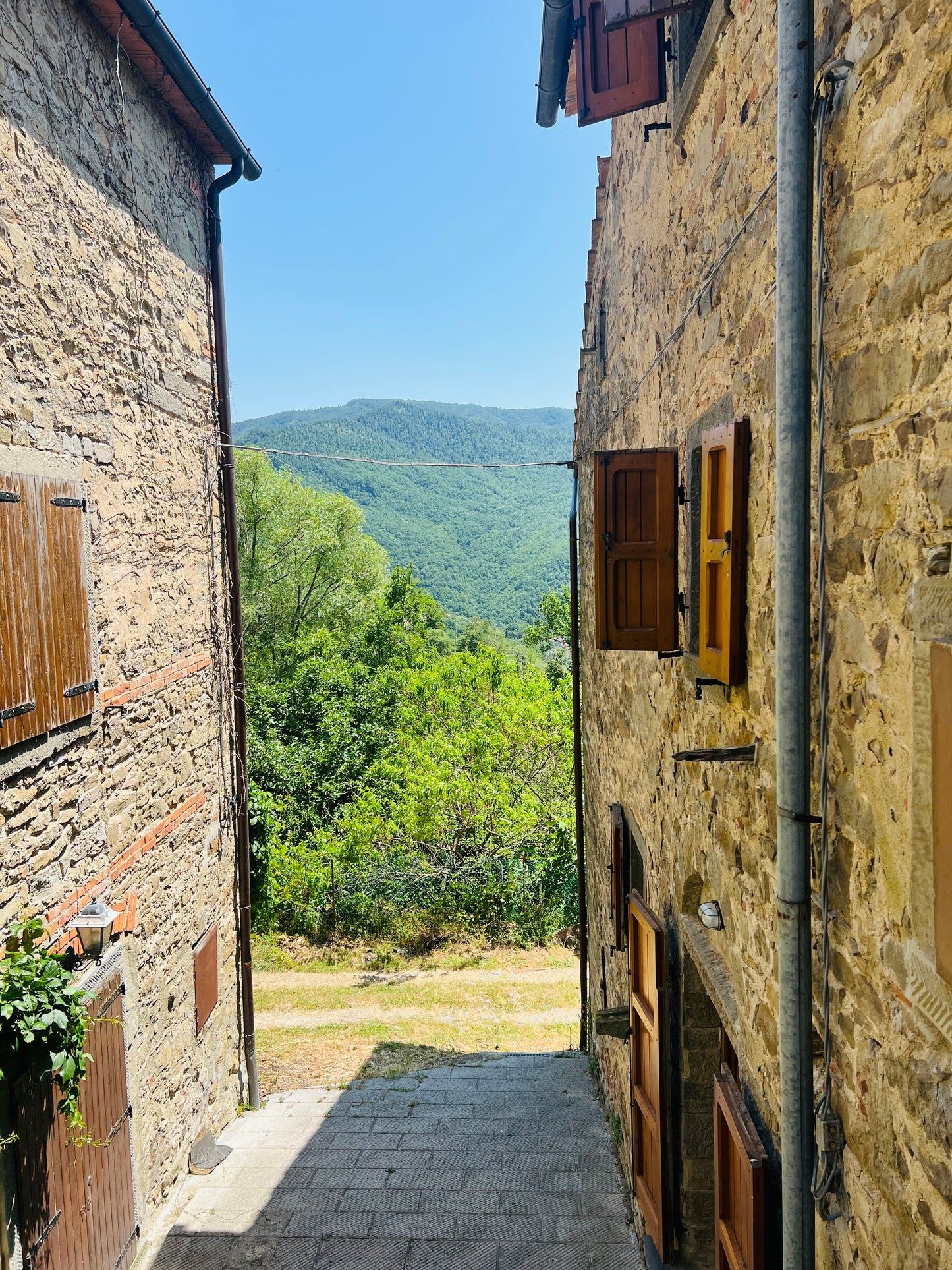 Renovated apartments in the Casentino forest