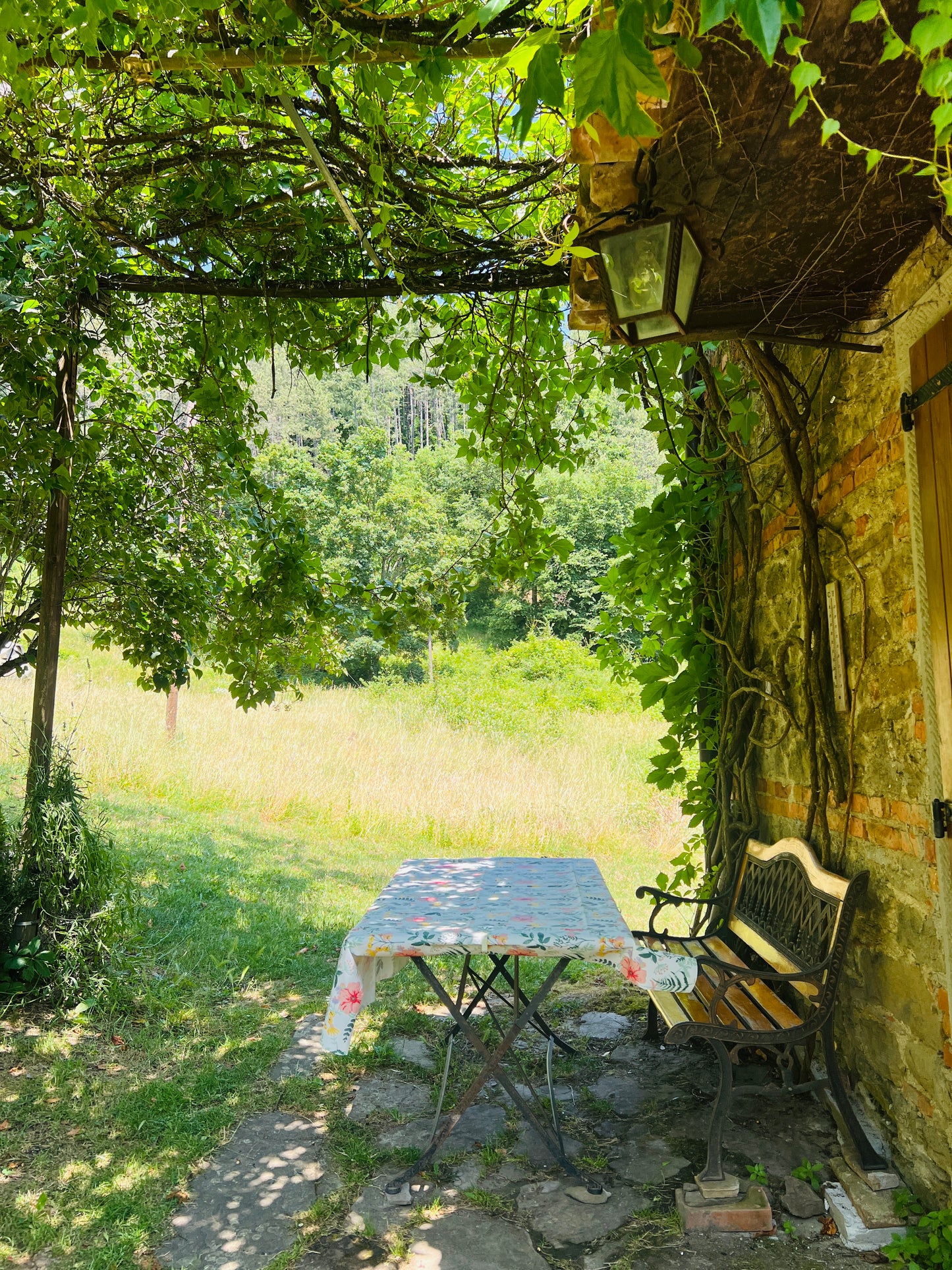 Renovated apartments in the Casentino forest