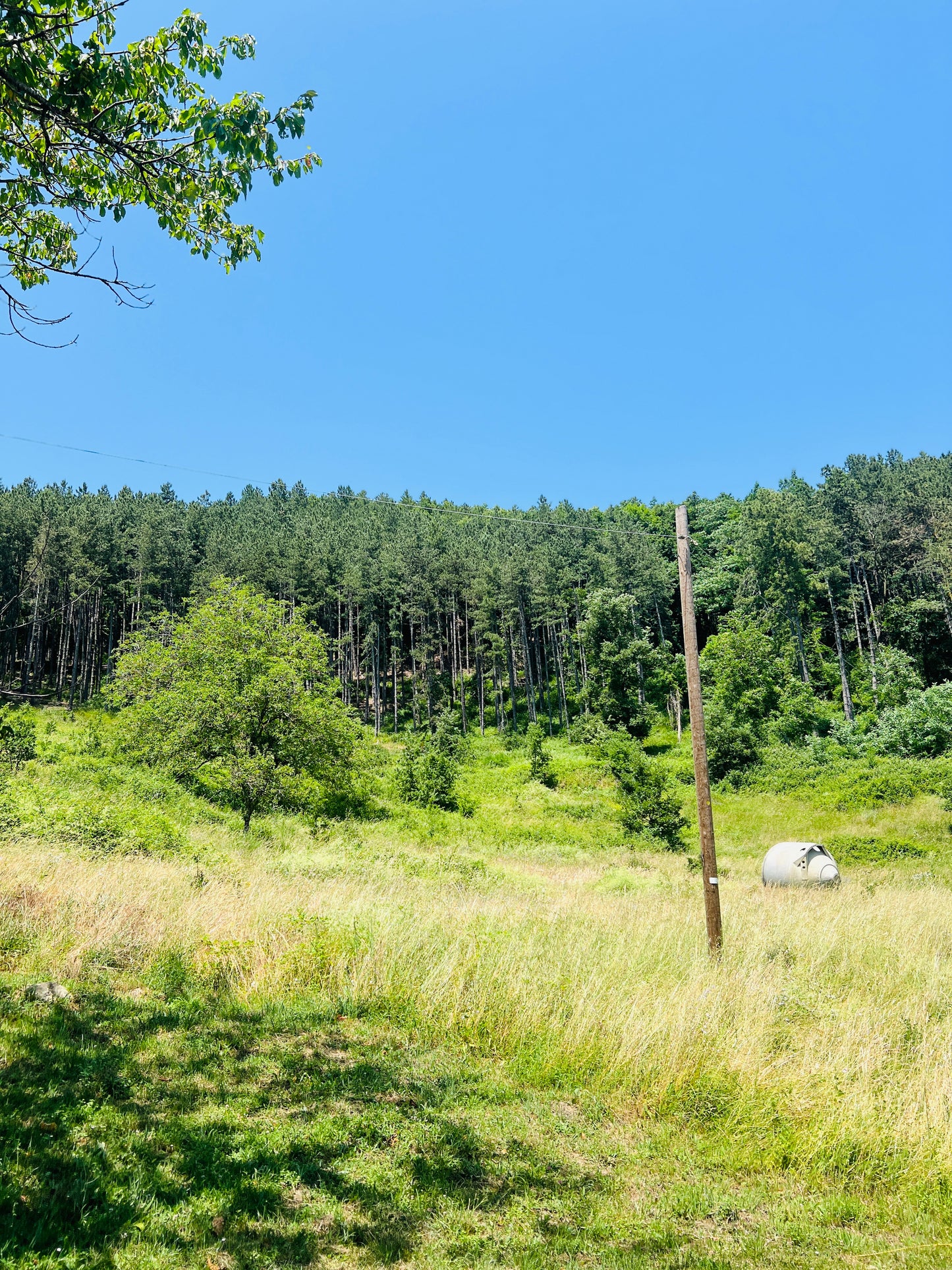 Renovated apartments in the Casentino forest