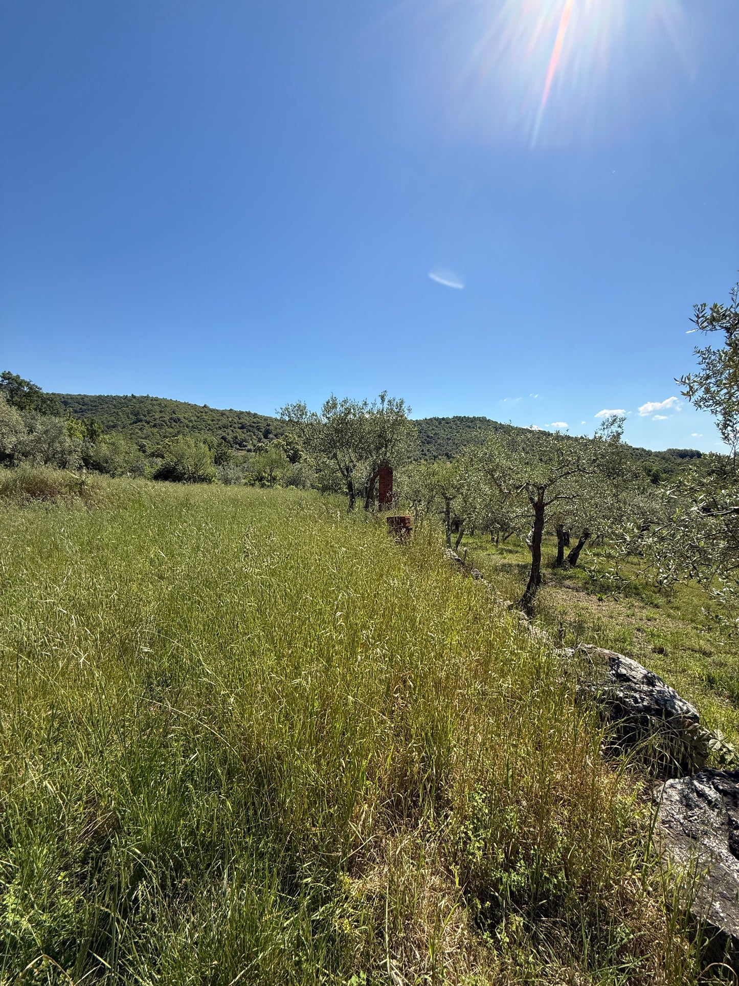 Historic Property Complex on the Chianti Road - 18th-Century Mill to Be Renovated