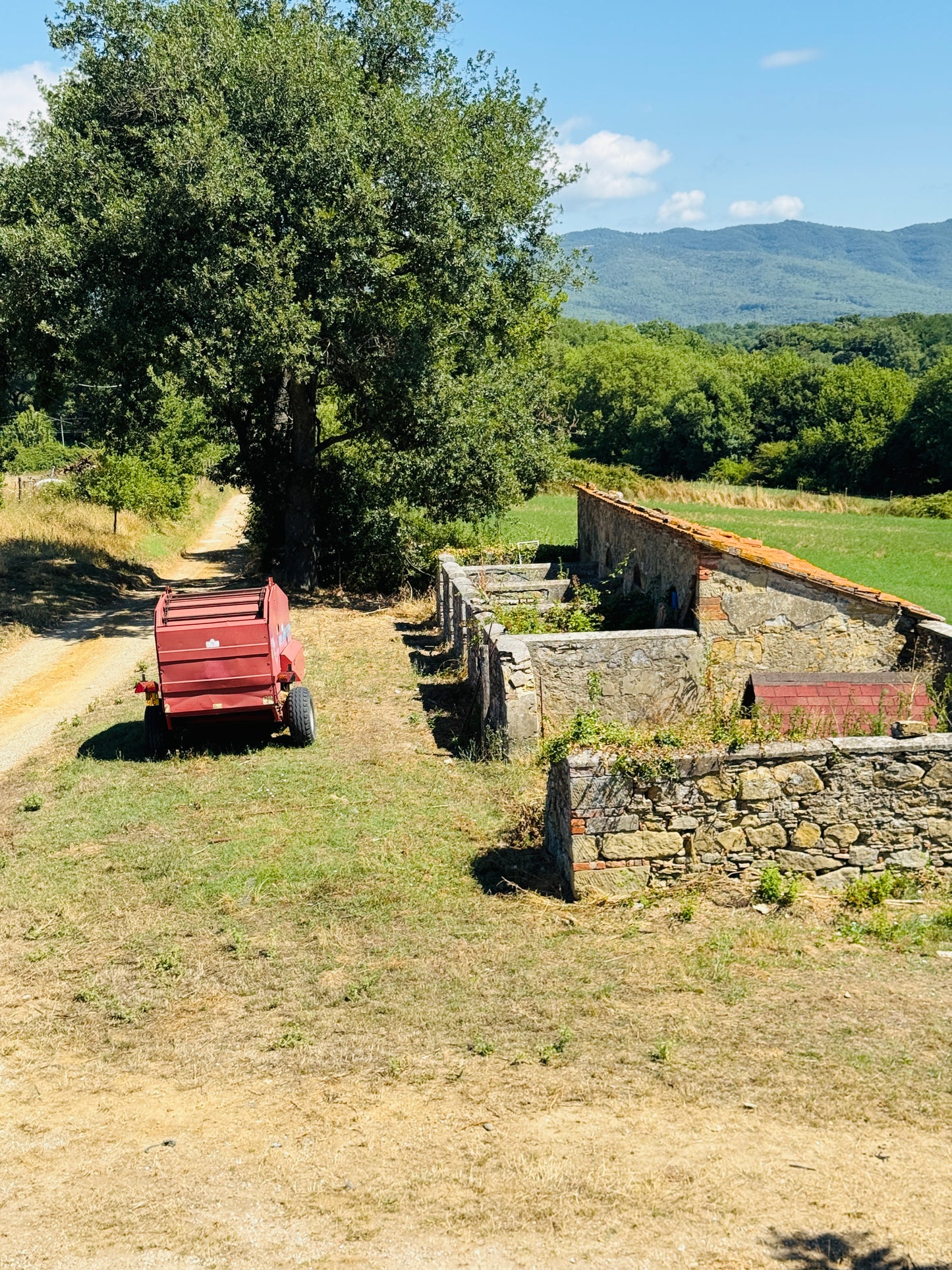 Farmhouse with 75 hectares