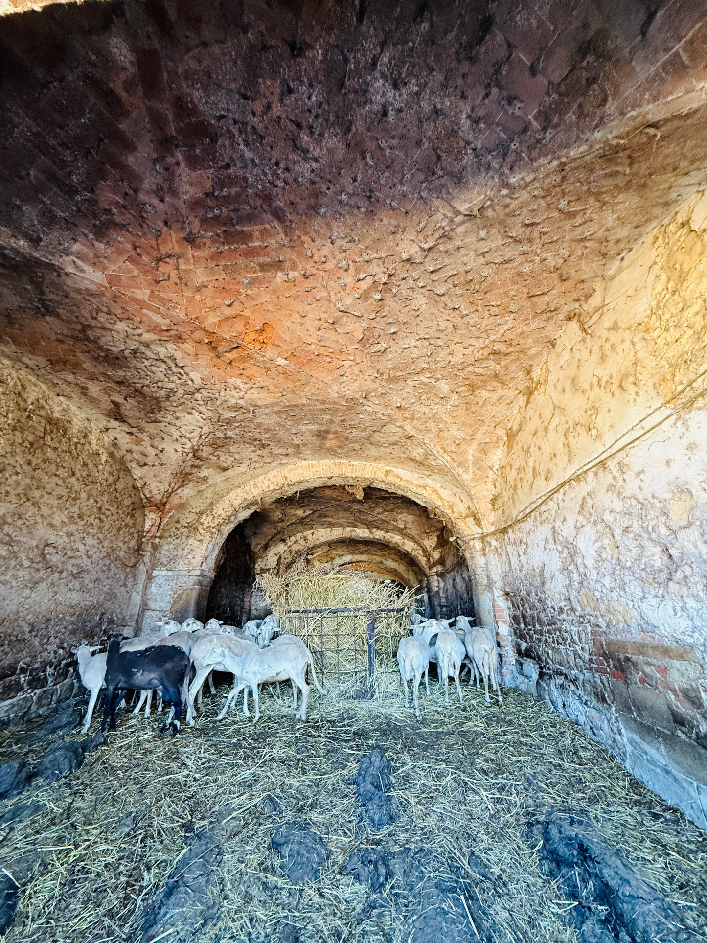 Farmhouse with 75 hectares