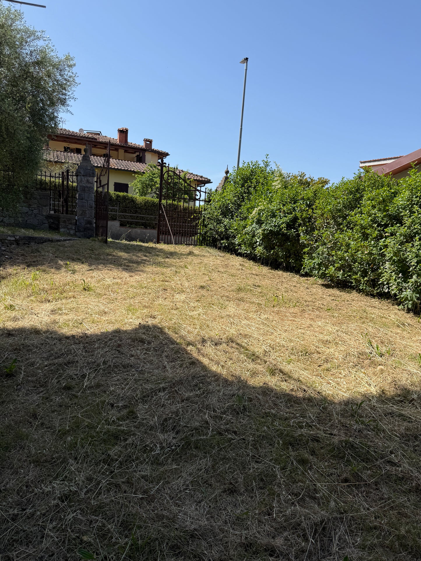 House with vineyard
