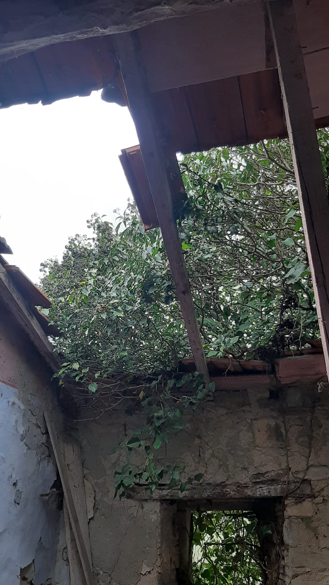 To be renovated
