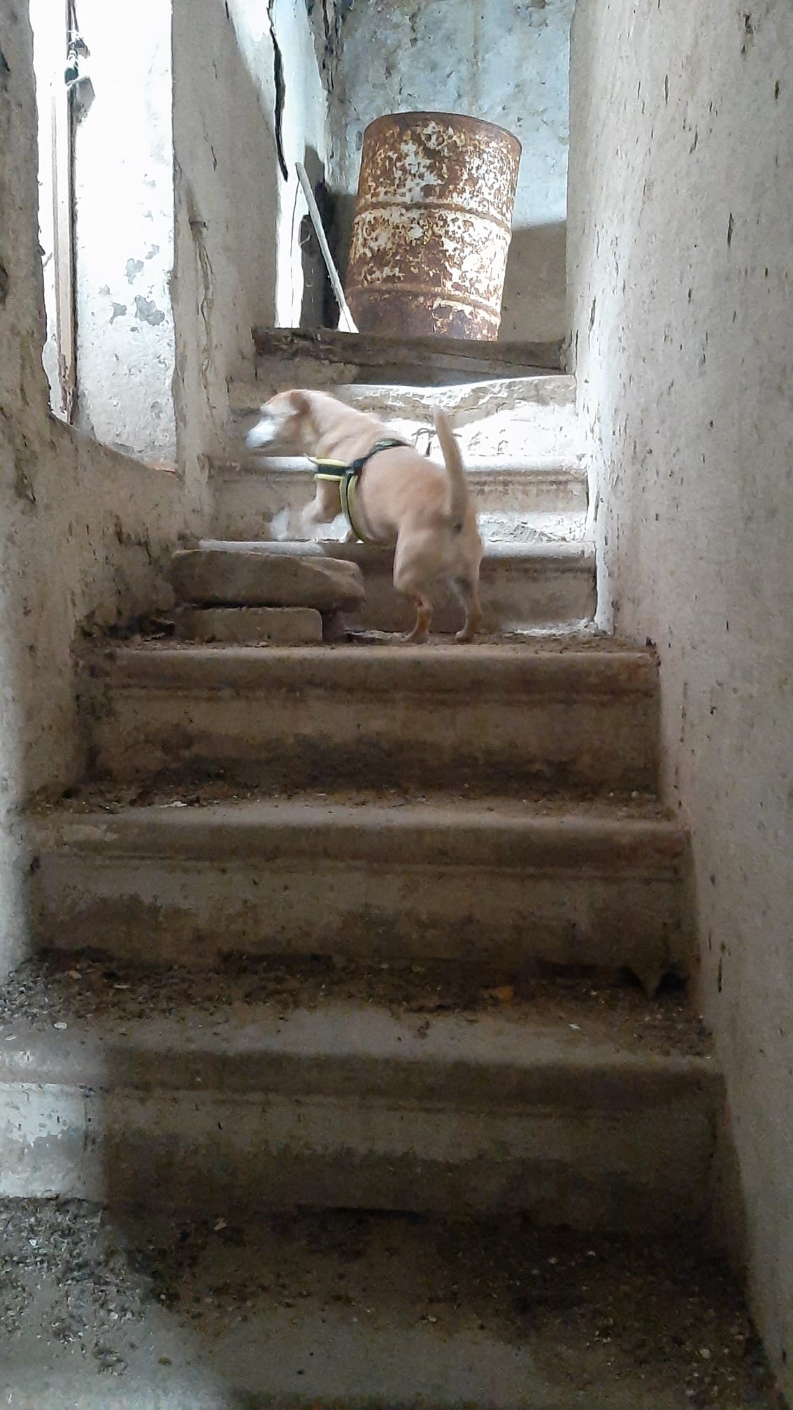 To be renovated