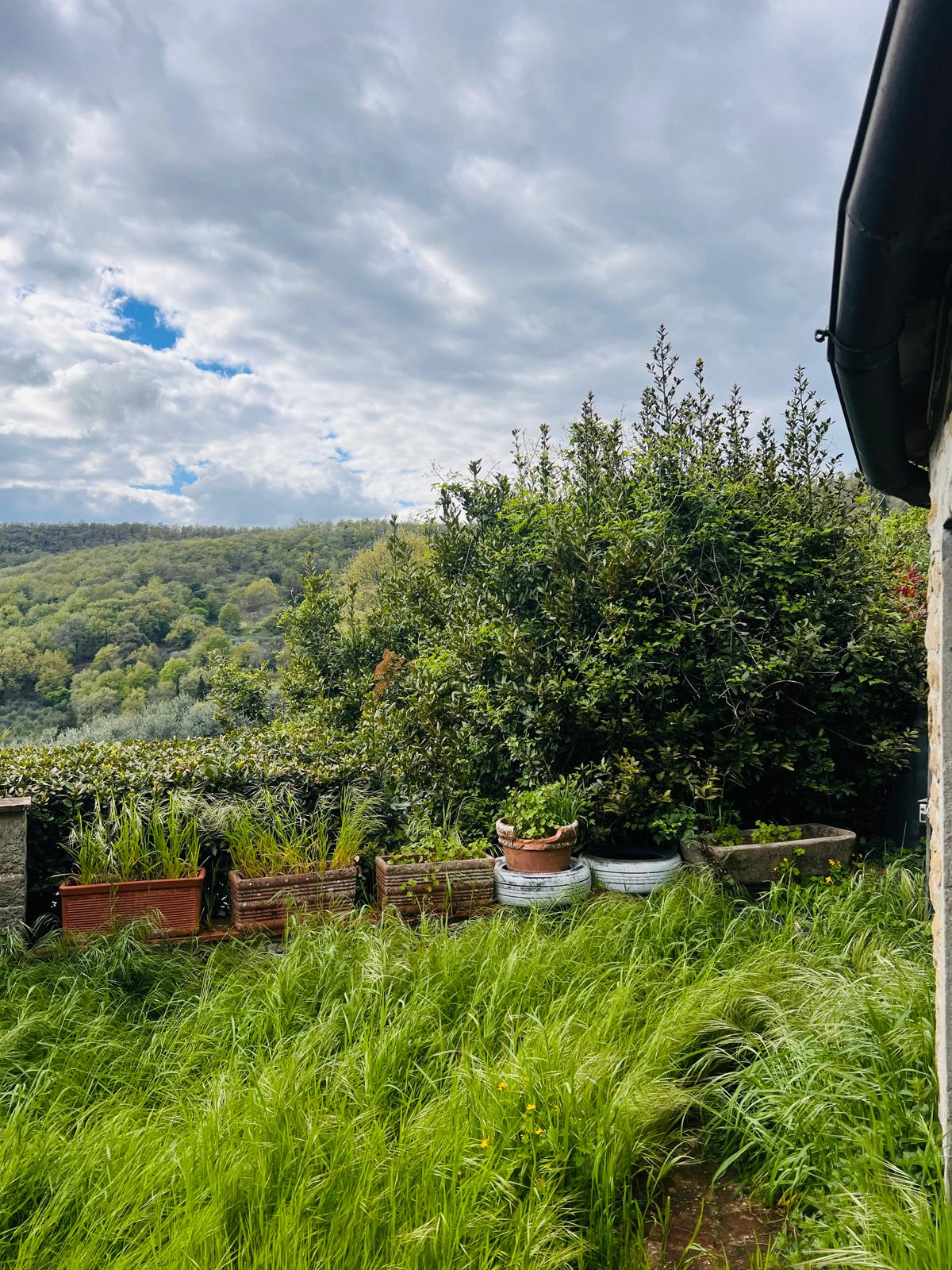 UNDER CONTRACT House in the middle of Chianti