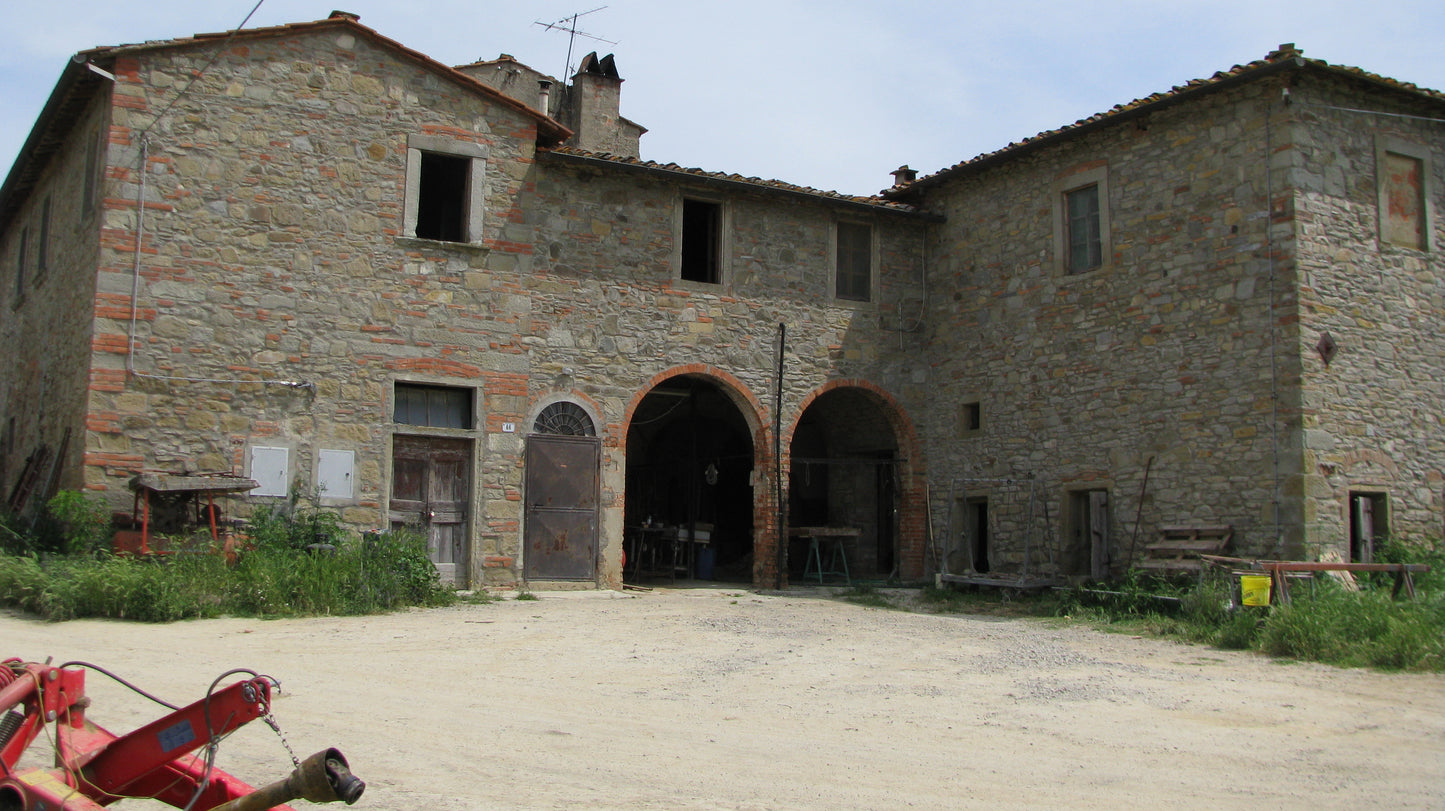 Farmhouse with 75 hectares
