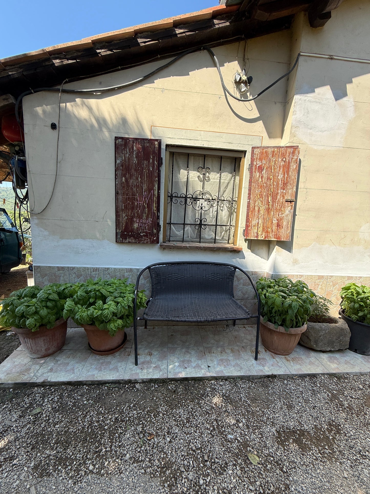 Summer cottage with olive trees in Pergine Valdarno