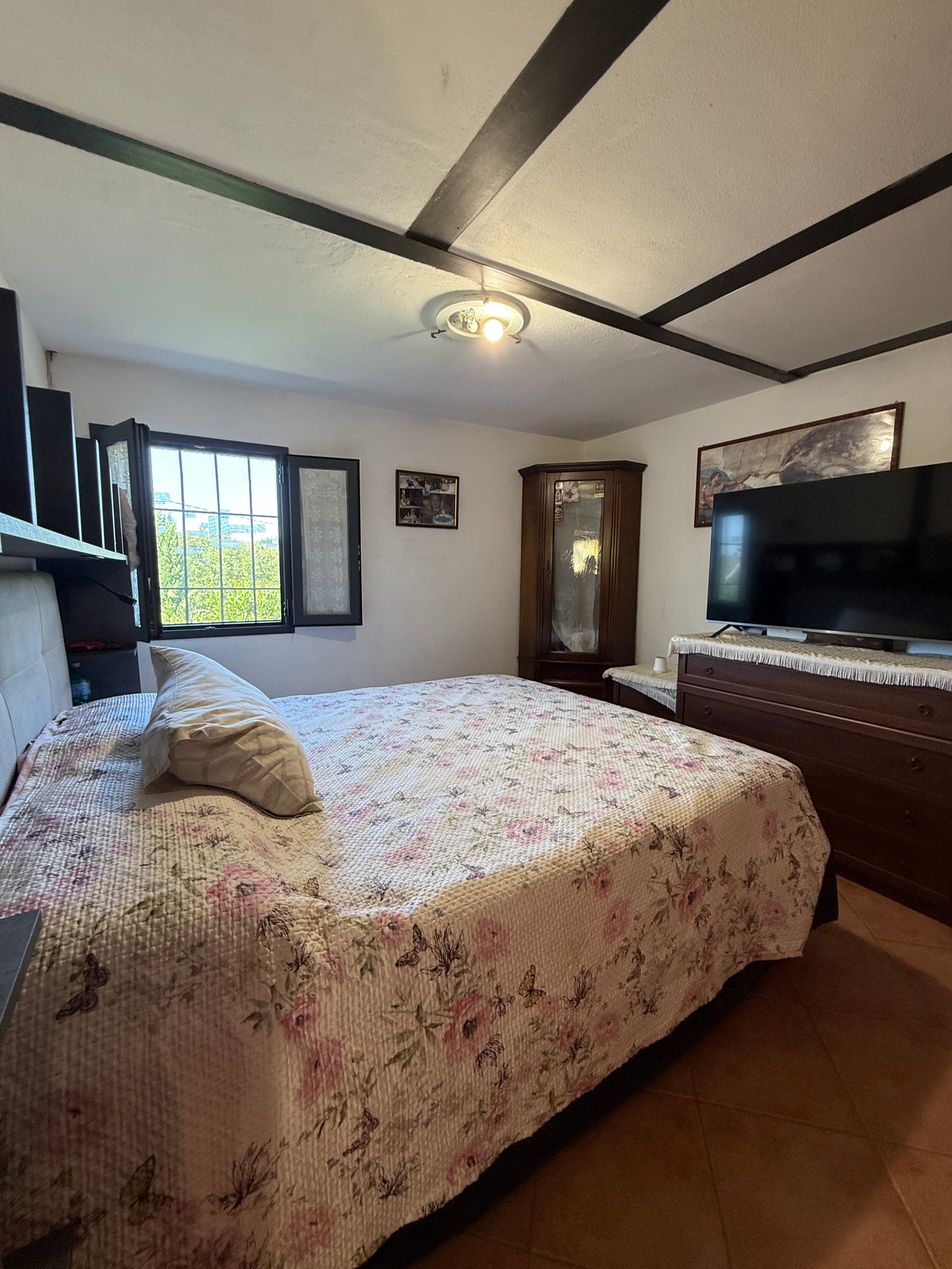 Summer cottage with olive trees in Pergine Valdarno
