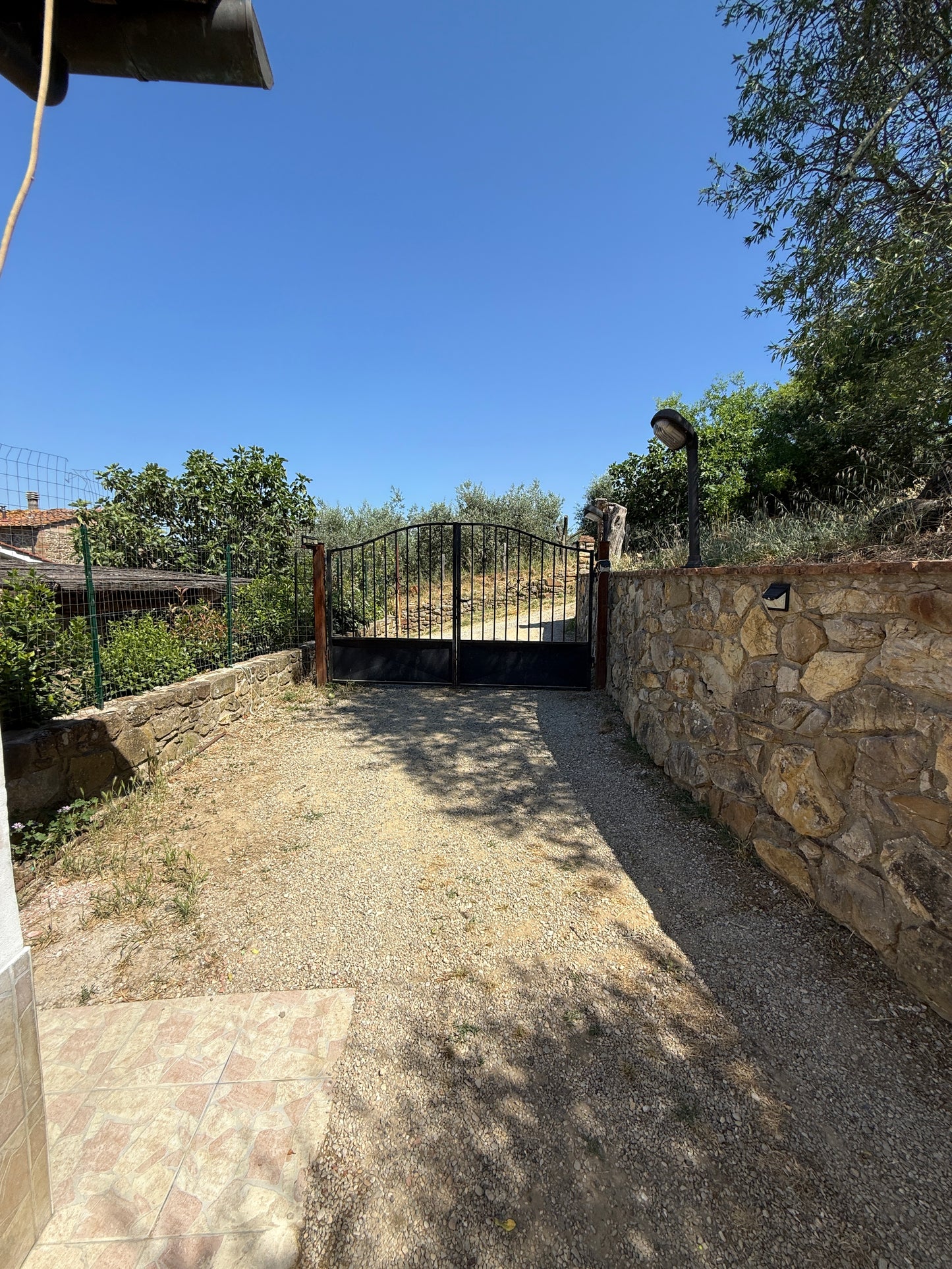Summer cottage with olive trees in Pergine Valdarno
