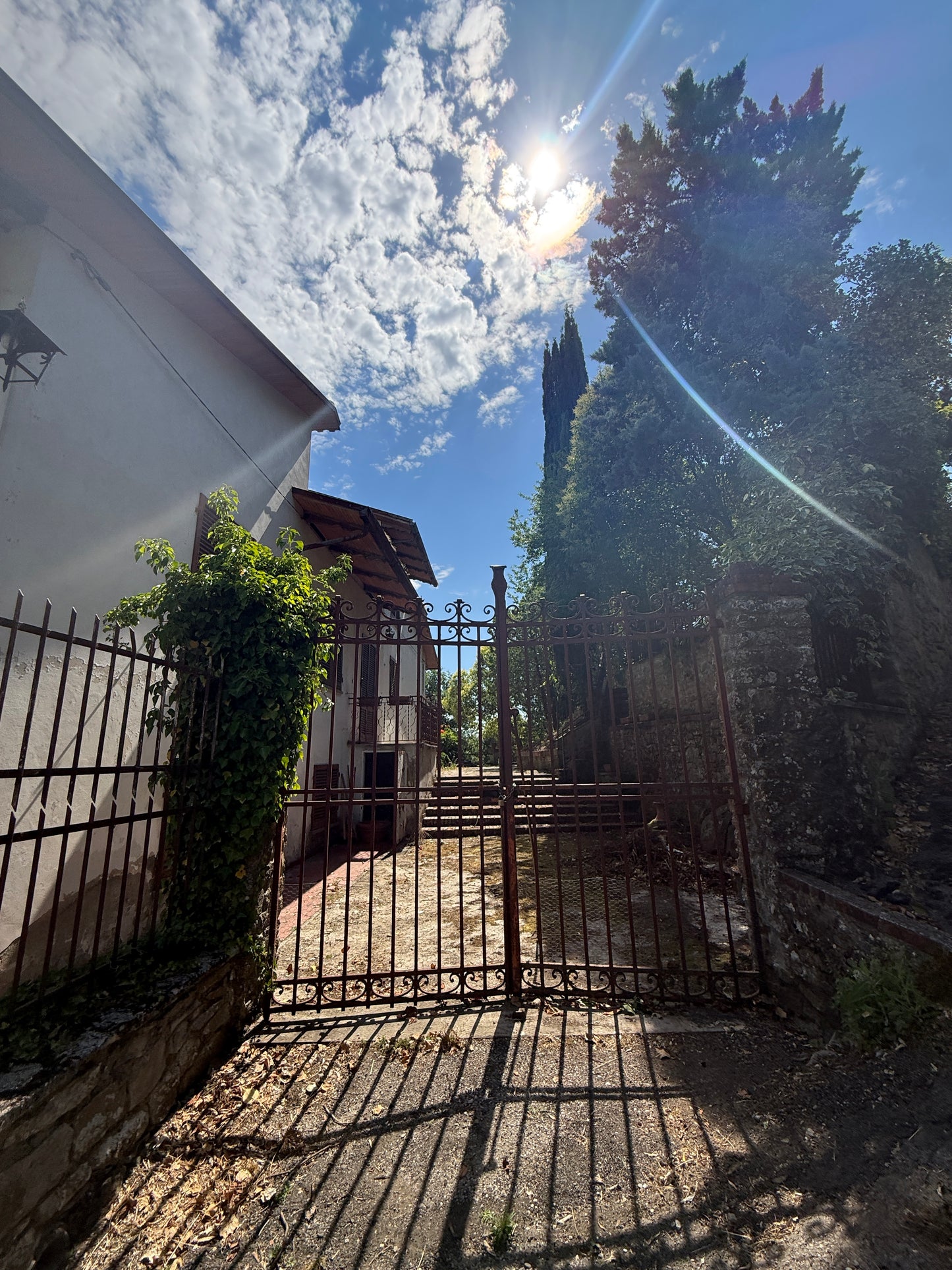 Villa near Arezzo centre with wineyard