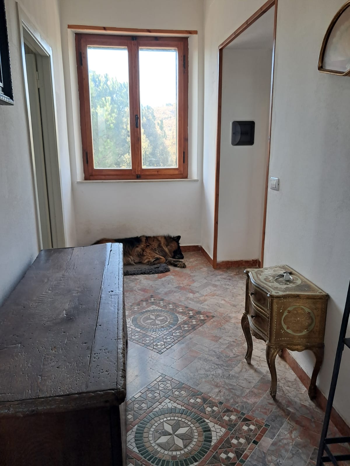 Move-in Ready Apartment Close to Amenities