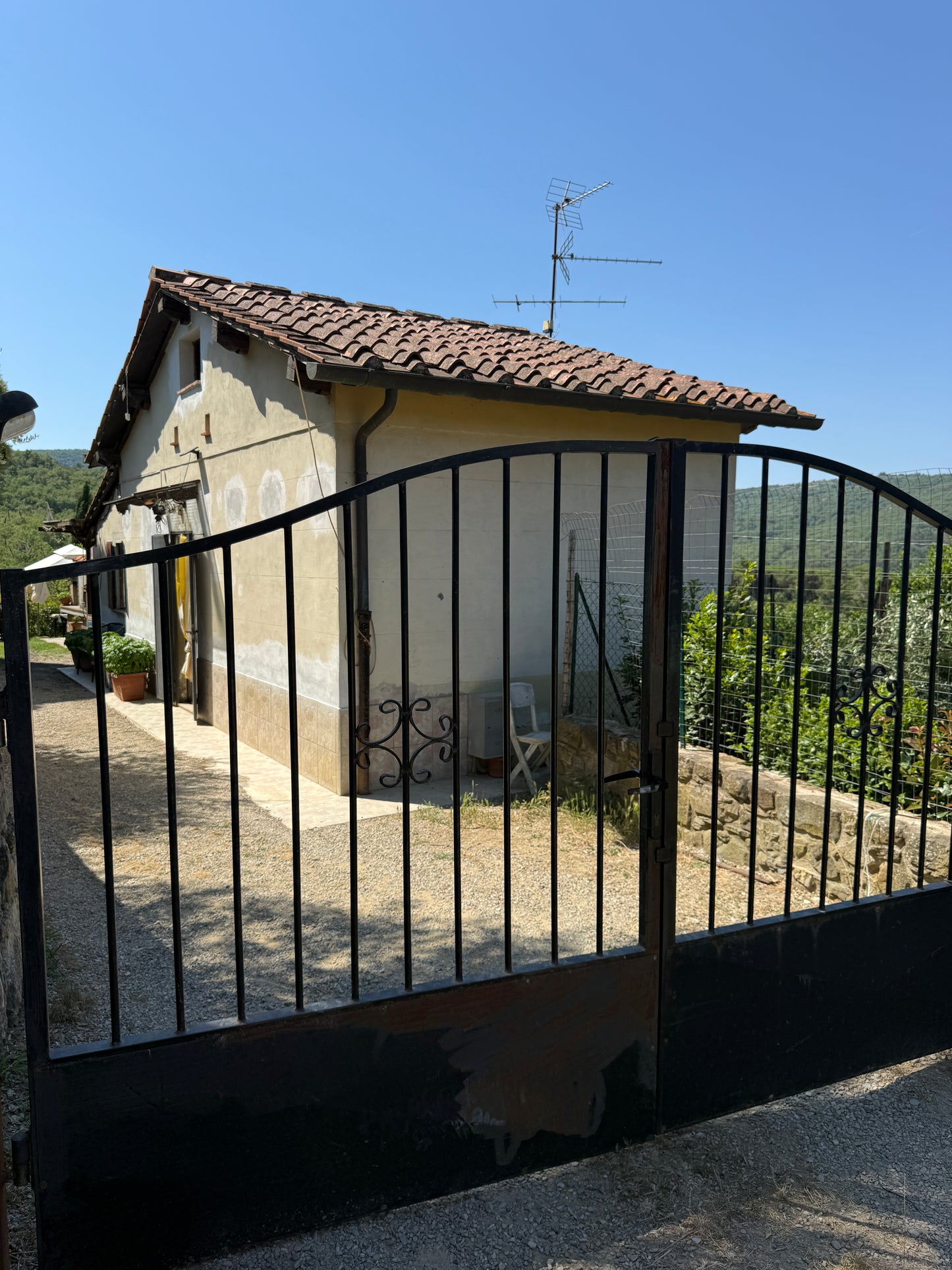 Summer cottage with olive trees in Pergine Valdarno