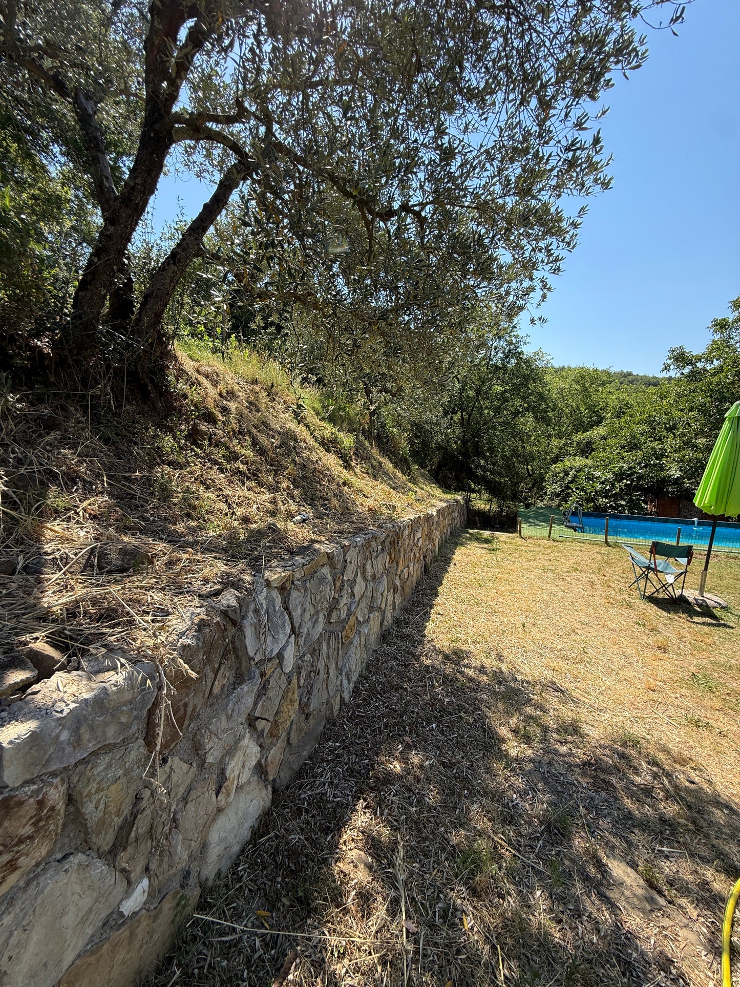 Summer cottage with olive trees in Pergine Valdarno