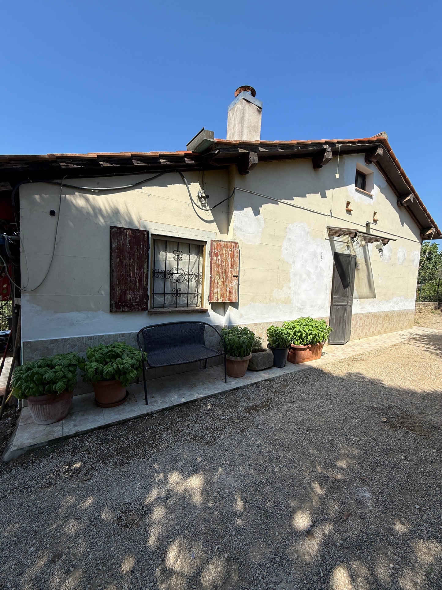Summer cottage with olive trees in Pergine Valdarno