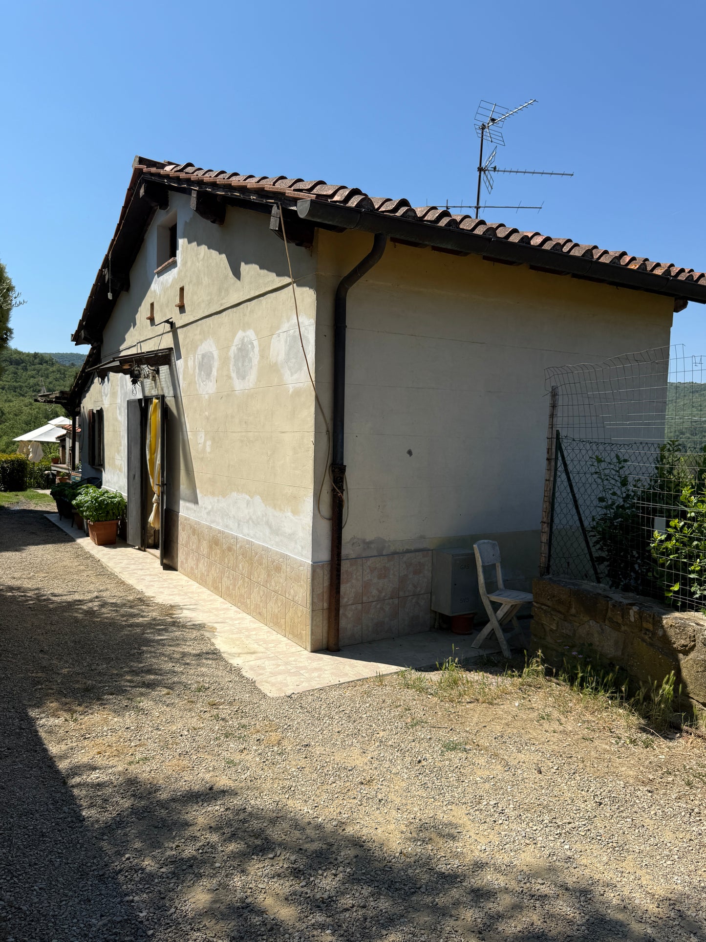 Summer cottage with olive trees in Pergine Valdarno