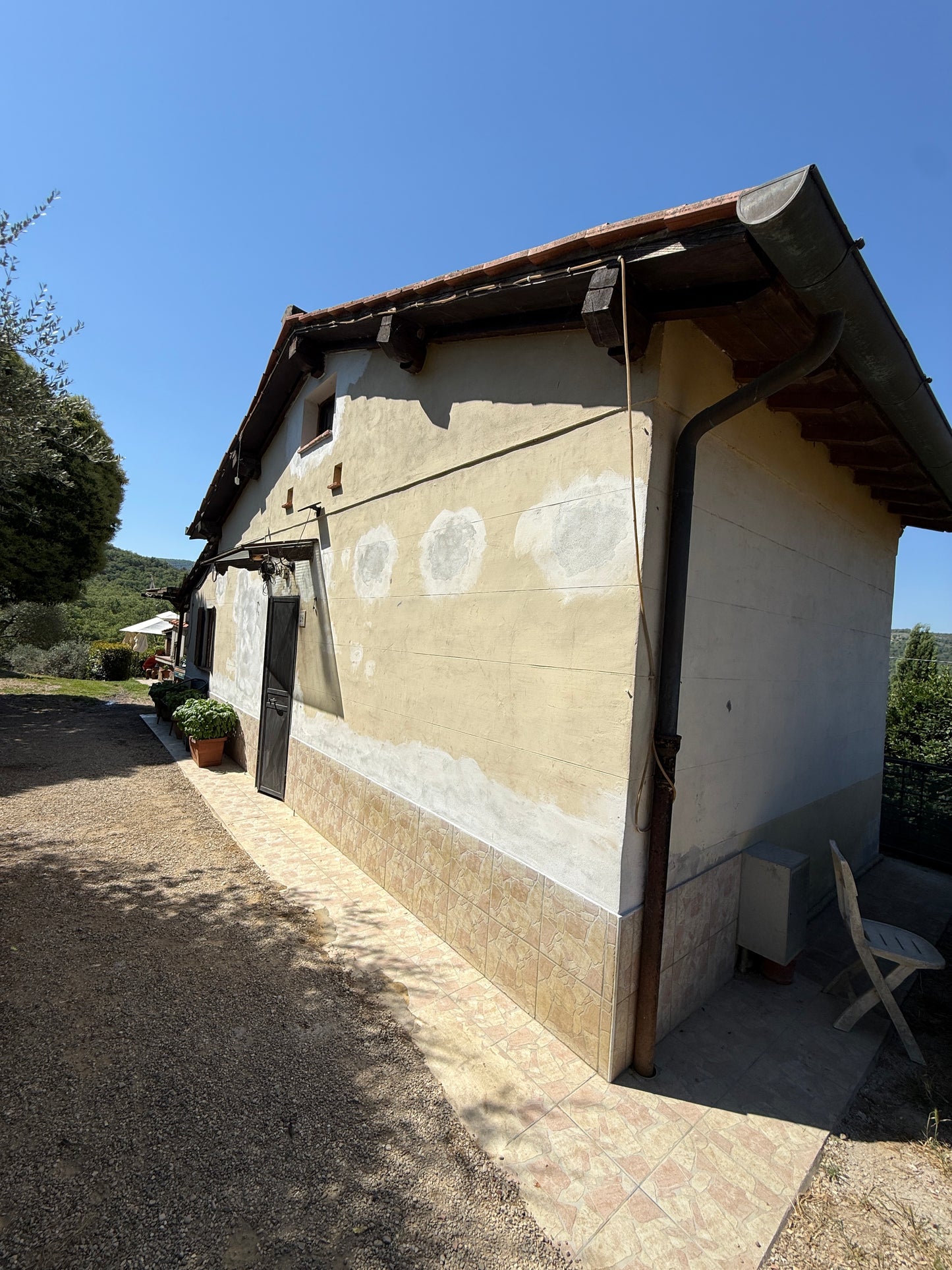 Summer cottage with olive trees in Pergine Valdarno