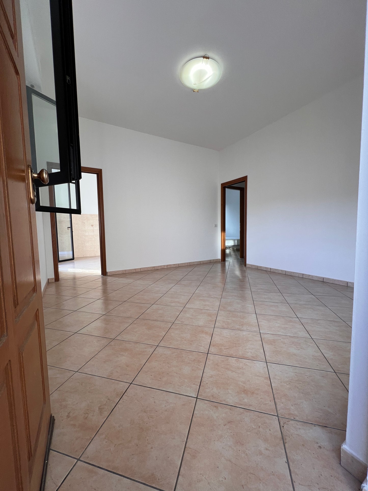 Big apartment one floor and garage