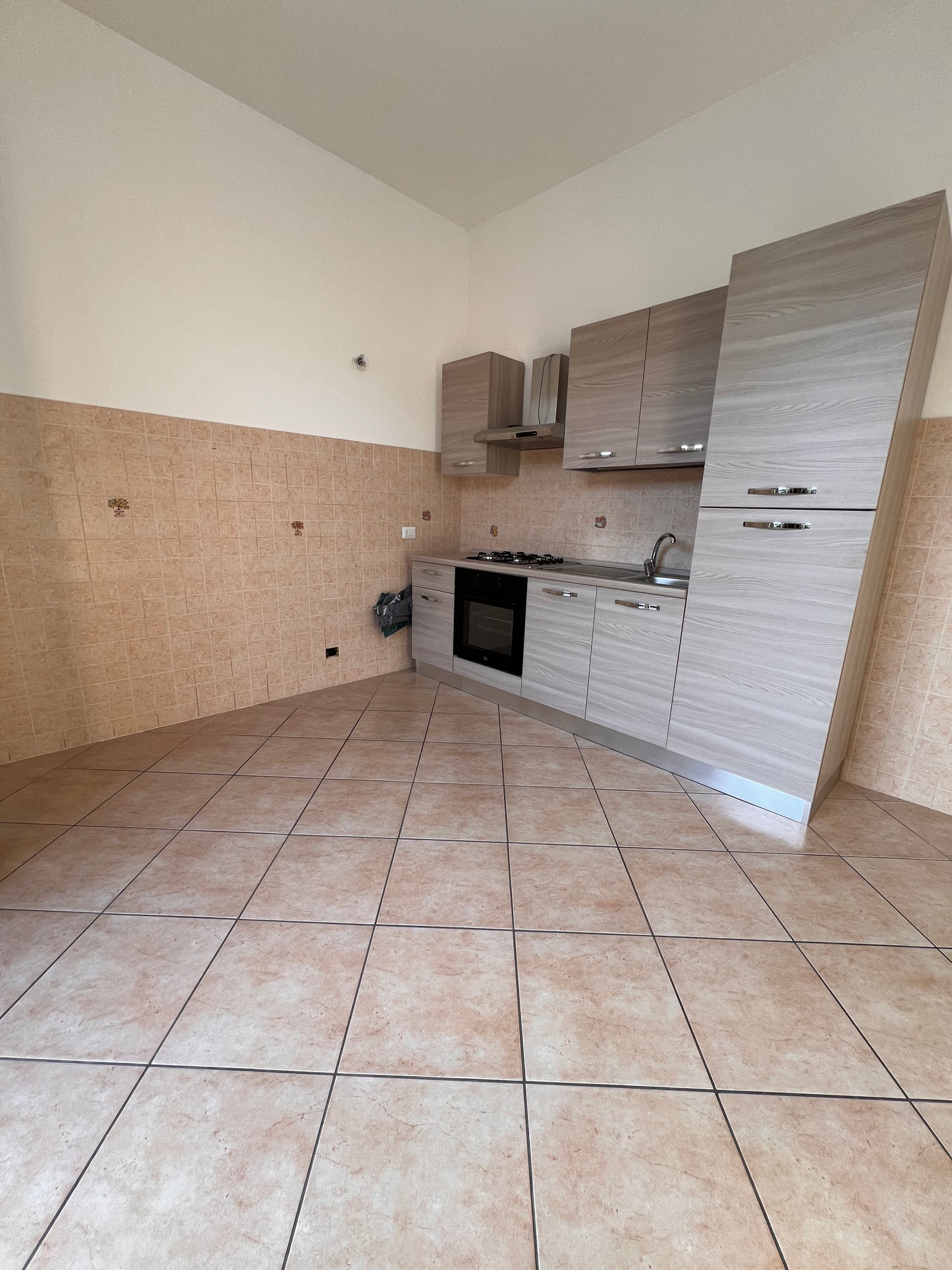 Big apartment one floor and garage