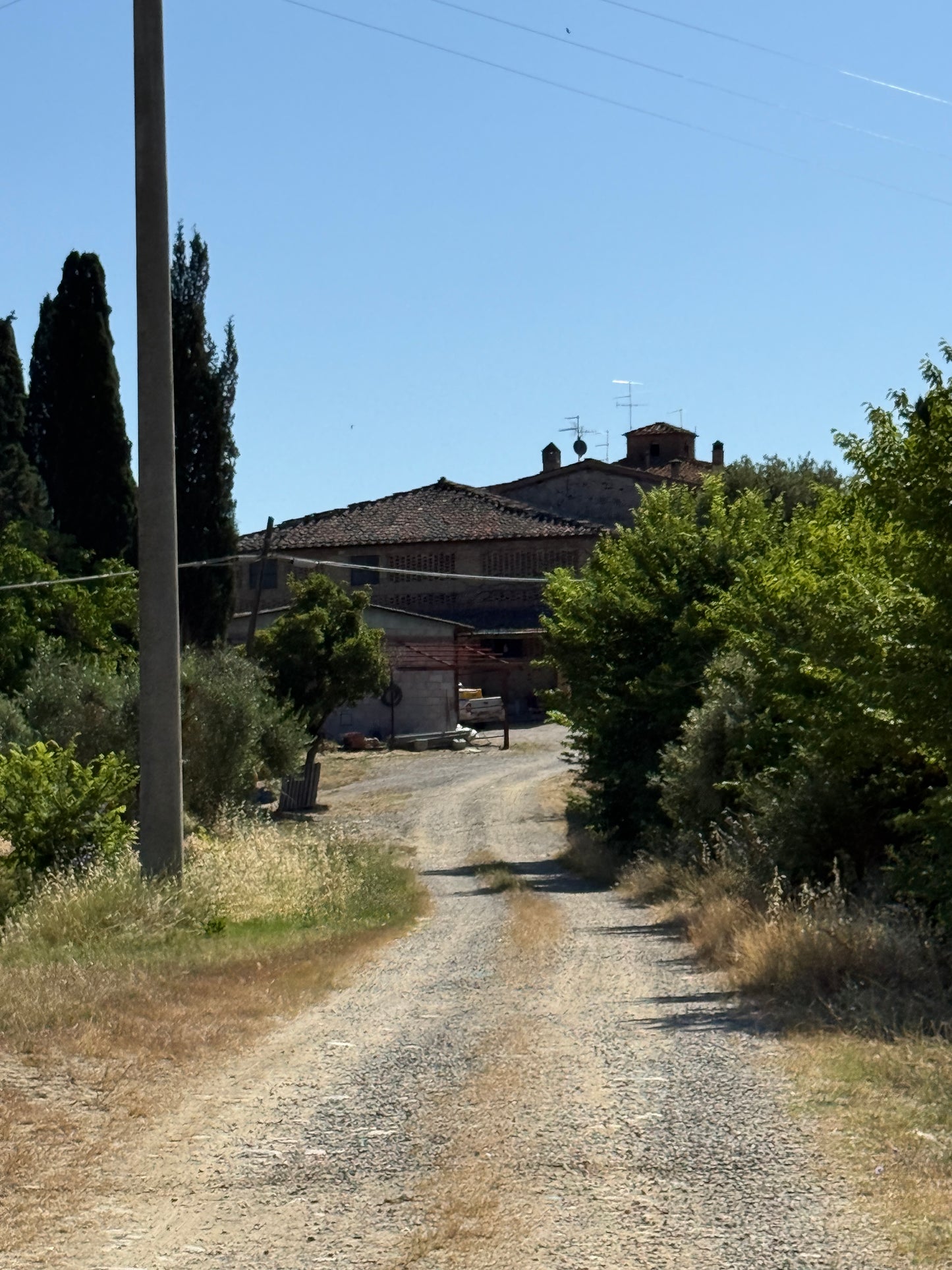 Farm with vineyard in Castelnuovo Berardenga - Siena