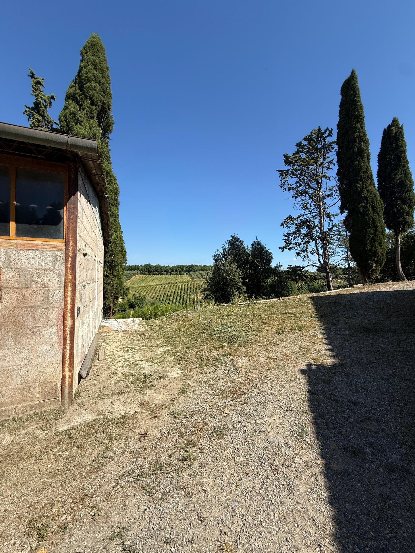 Farm with vineyard in Castelnuovo Berardenga - Siena