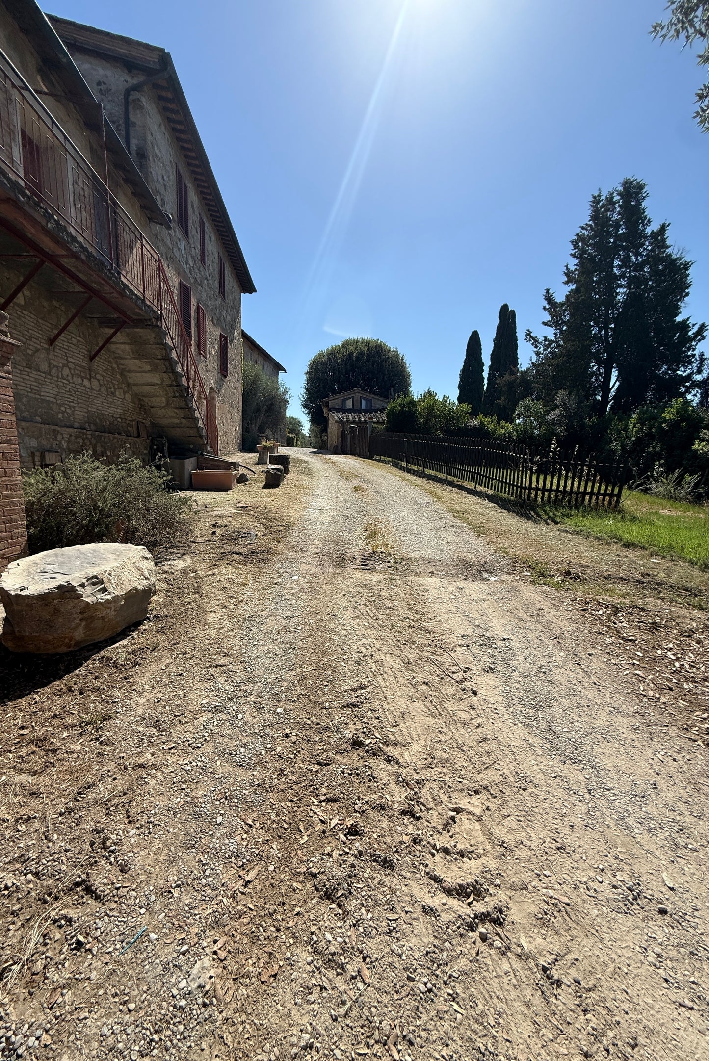 Farm with vineyard in Castelnuovo Berardenga - Siena