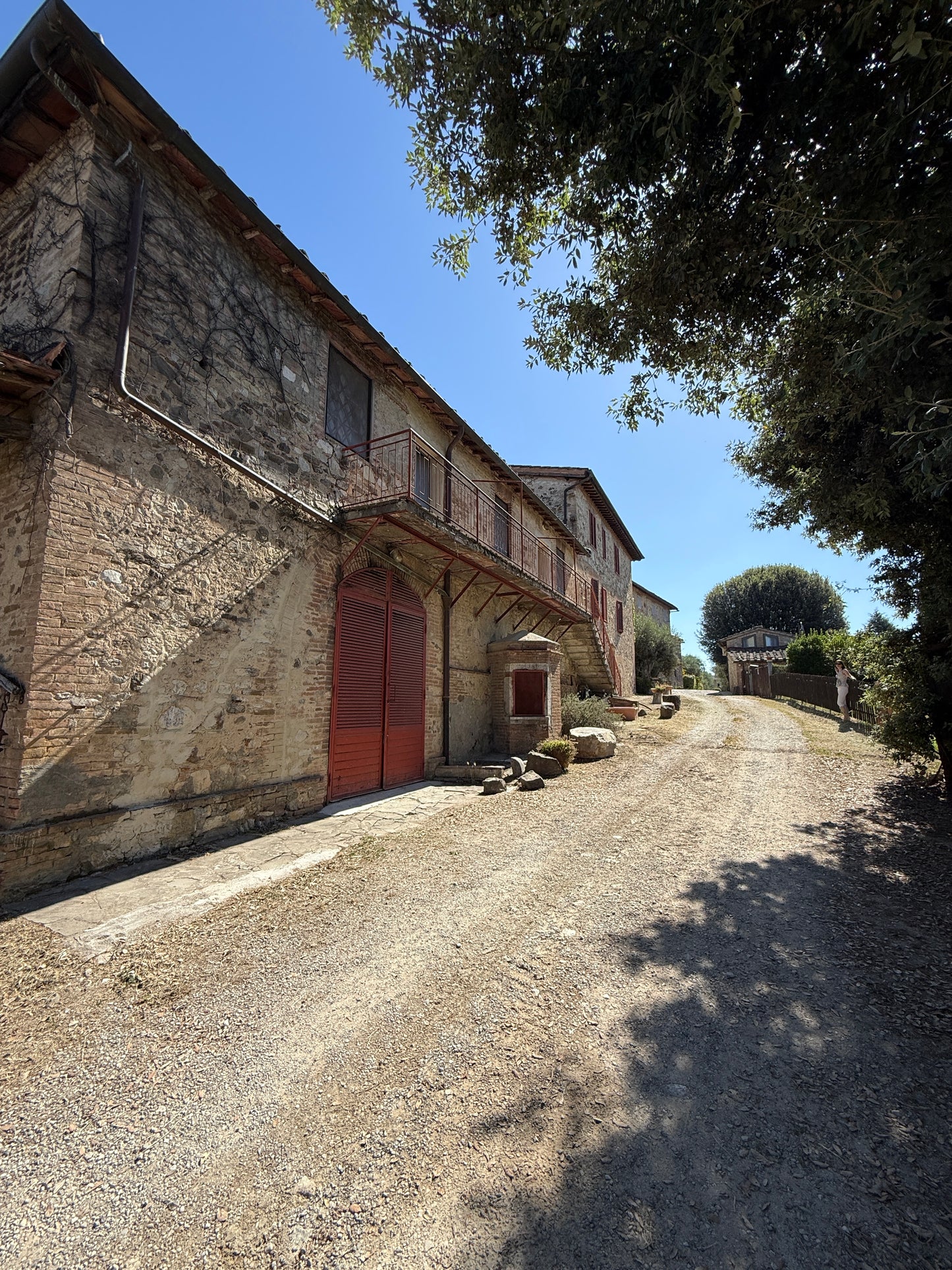 Farm with vineyard in Castelnuovo Berardenga - Siena