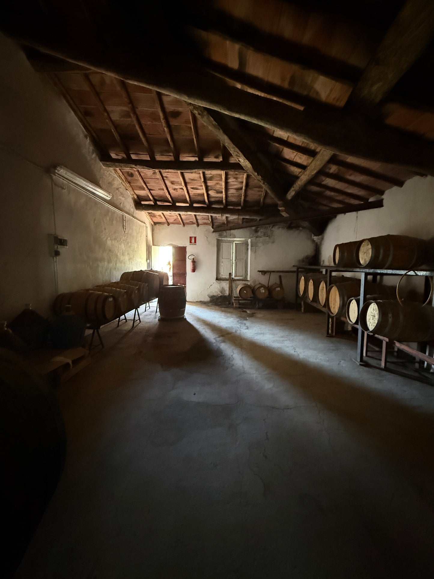 Farm with vineyard in Castelnuovo Berardenga - Siena