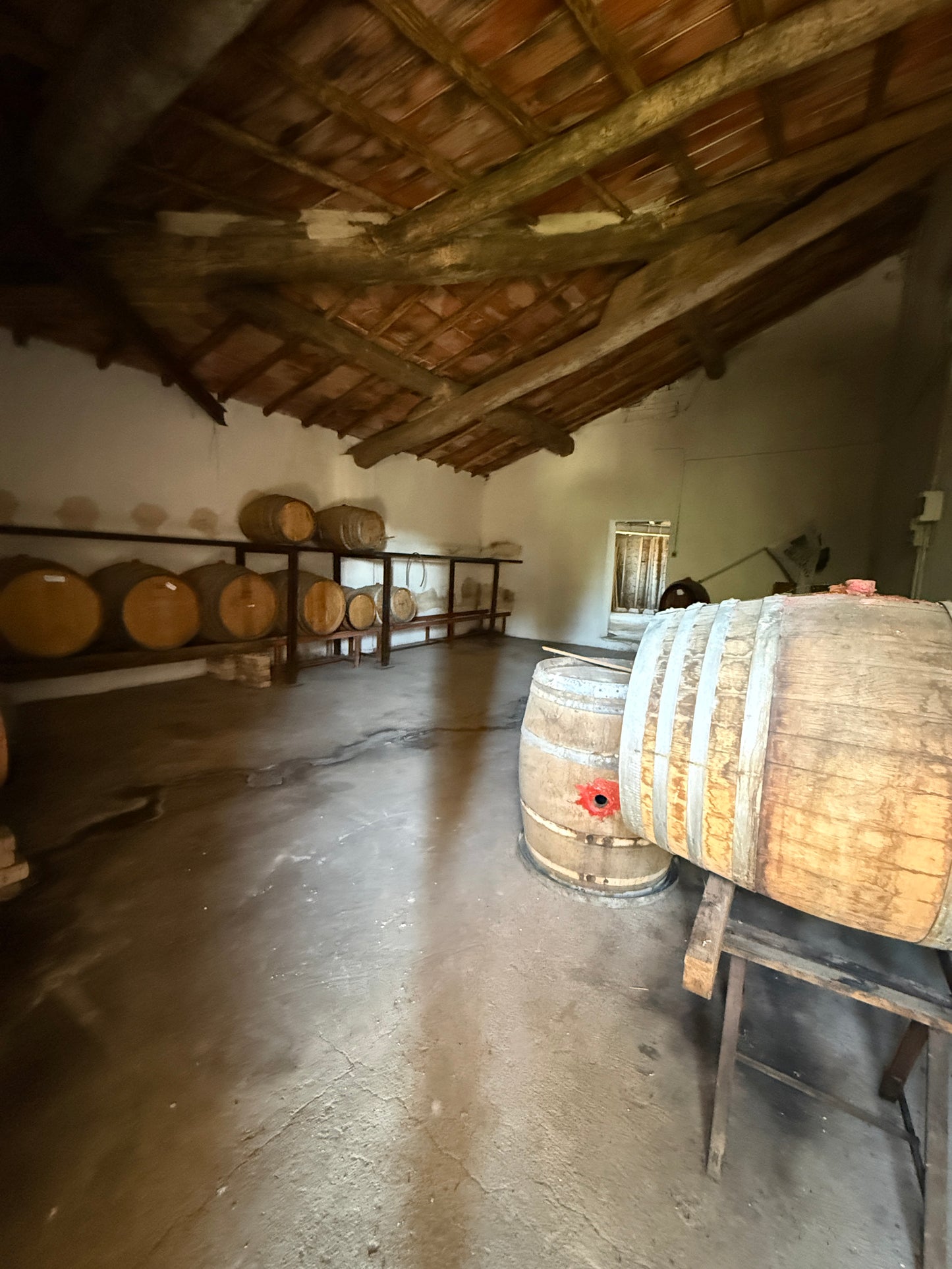 Farm with vineyard in Castelnuovo Berardenga - Siena