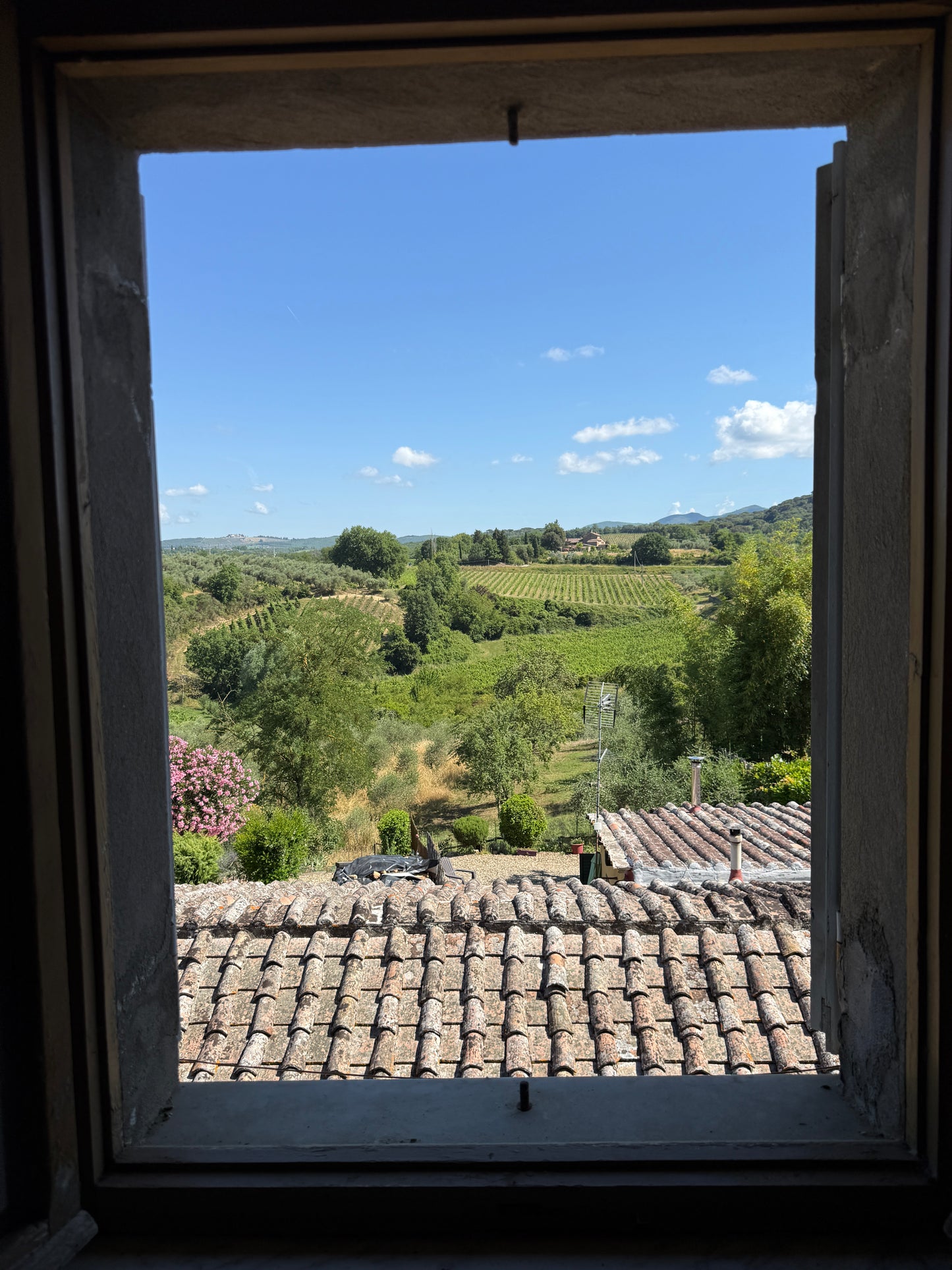 Farm with vineyard in Castelnuovo Berardenga - Siena