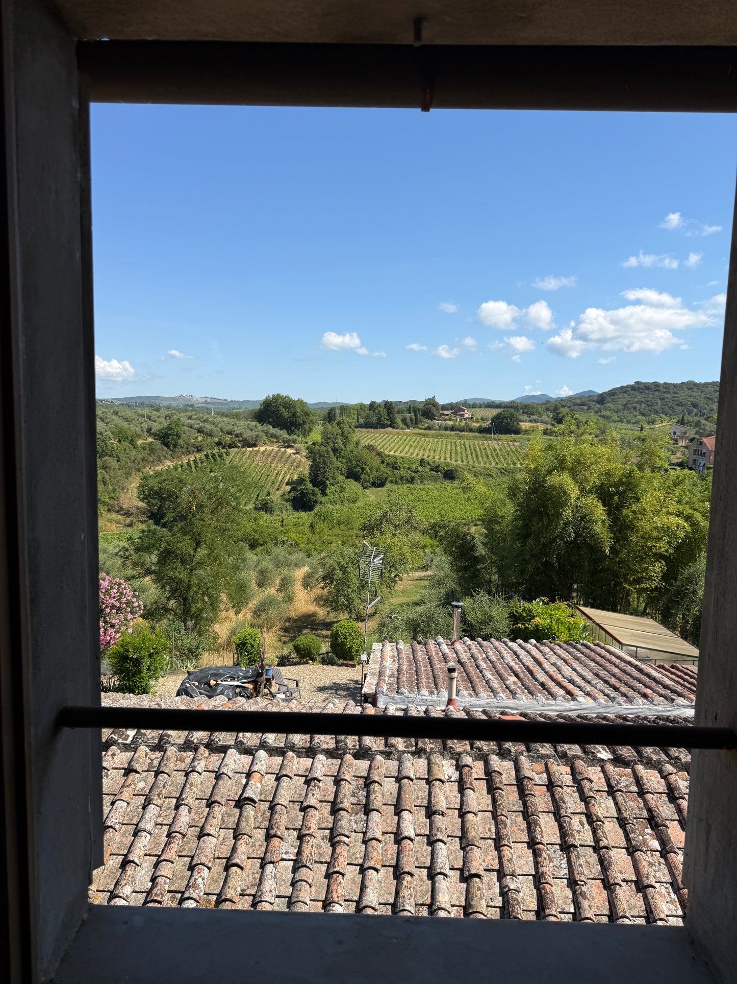 Farm with vineyard in Castelnuovo Berardenga - Siena