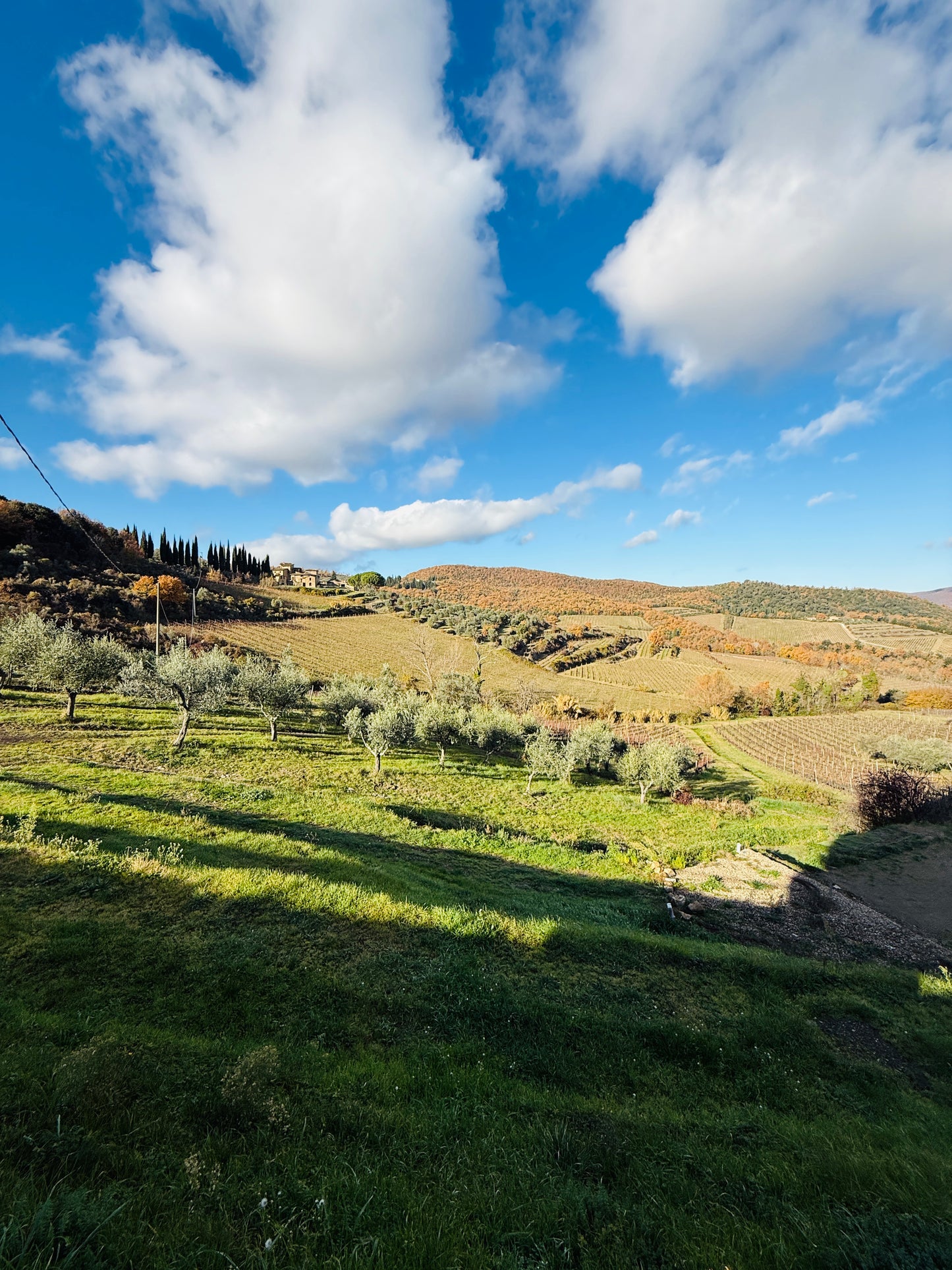 Luxury in Chianti with SPA